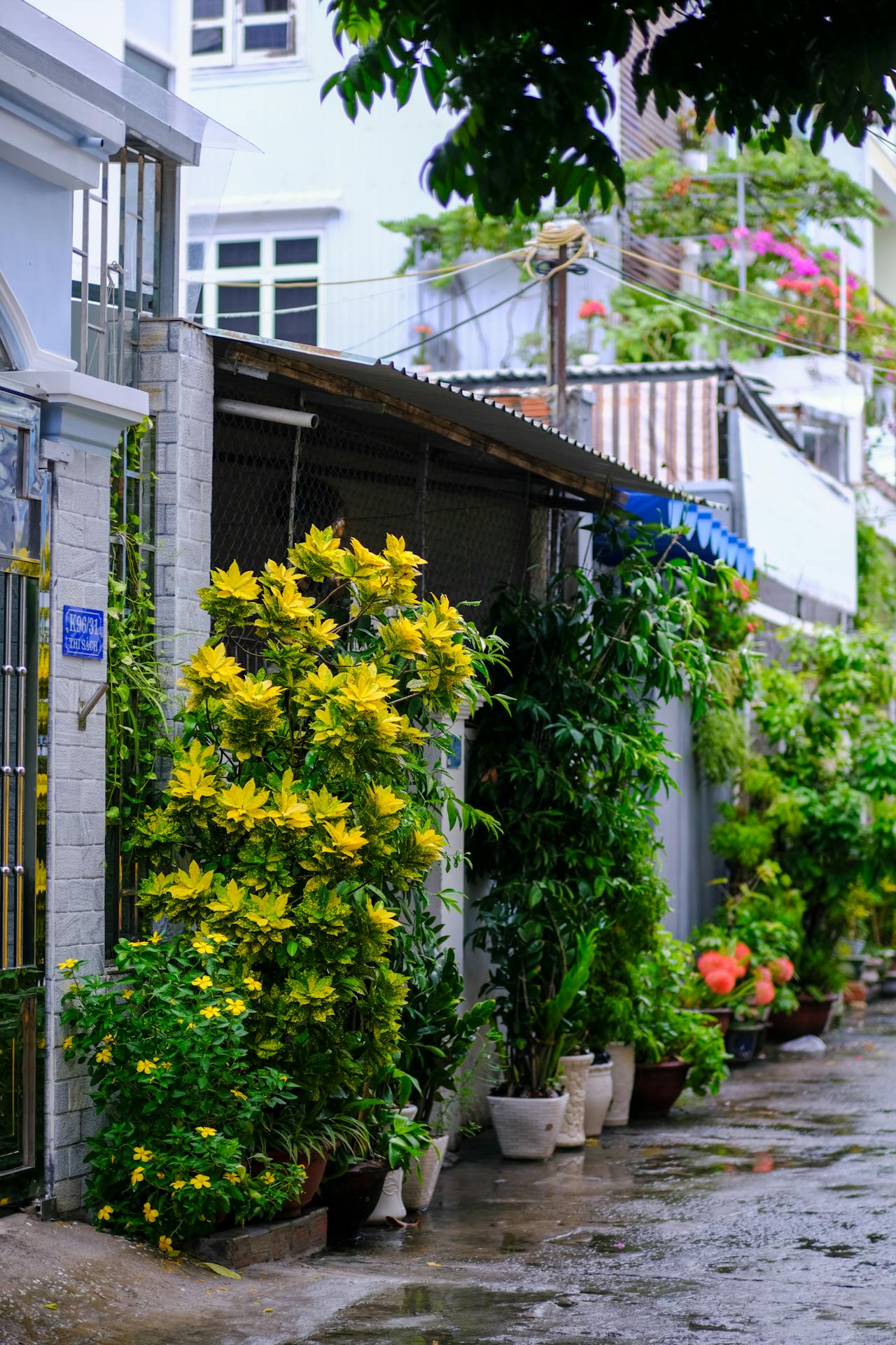 Hỏi đáp từ trái tim | Chương 04