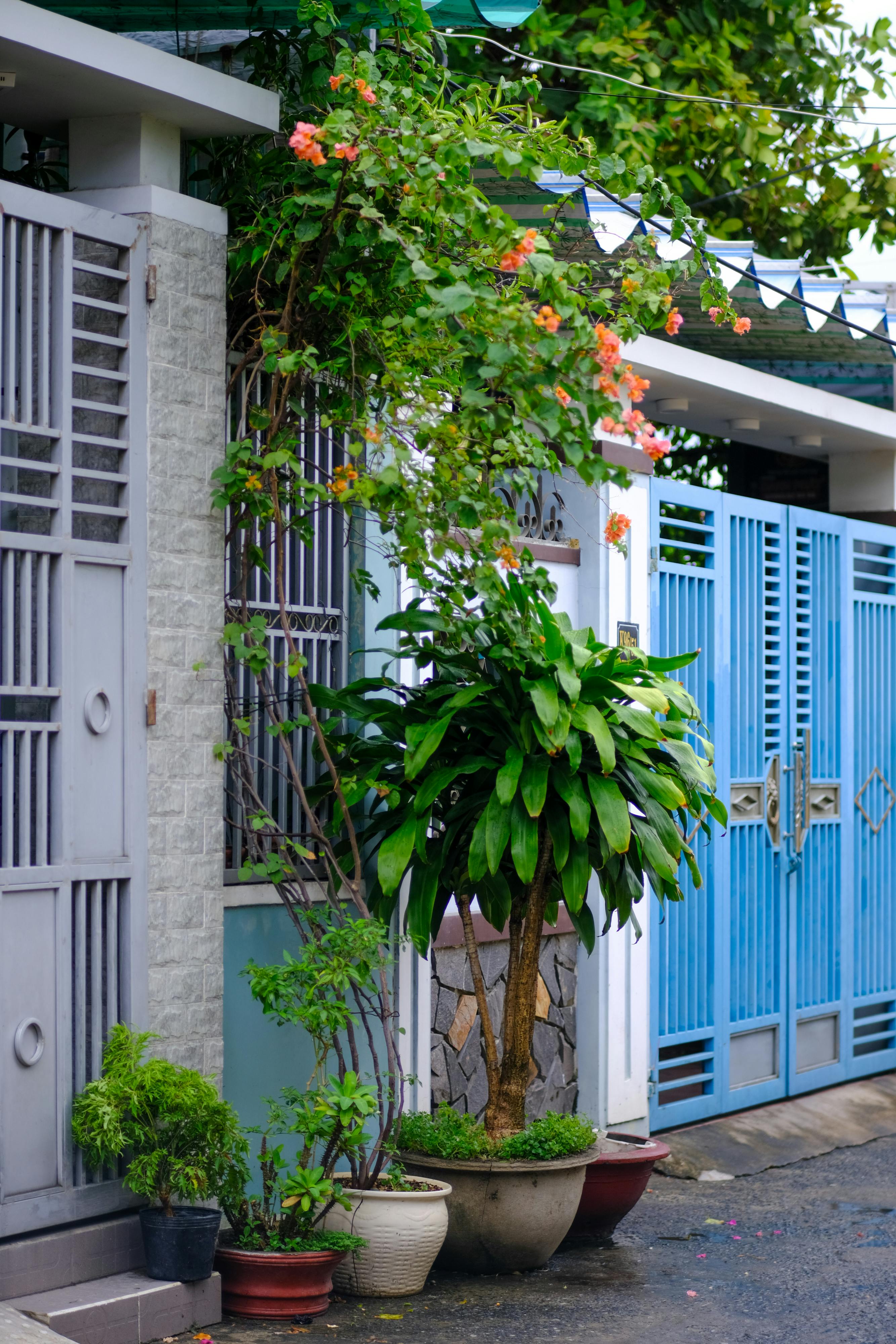 Thám tử lừng danh Conan | Chương 0889 776 – manga, gosho aoyama, case closed, tham tu lung danh conan, conan, detective conan, truyen tranh, trinh tham, pha an, trinh tham, kinh di, truyen conan, doc truyen conan, tham tu lung danh conan chuong 0889, tham tu lung danh conan 0889.