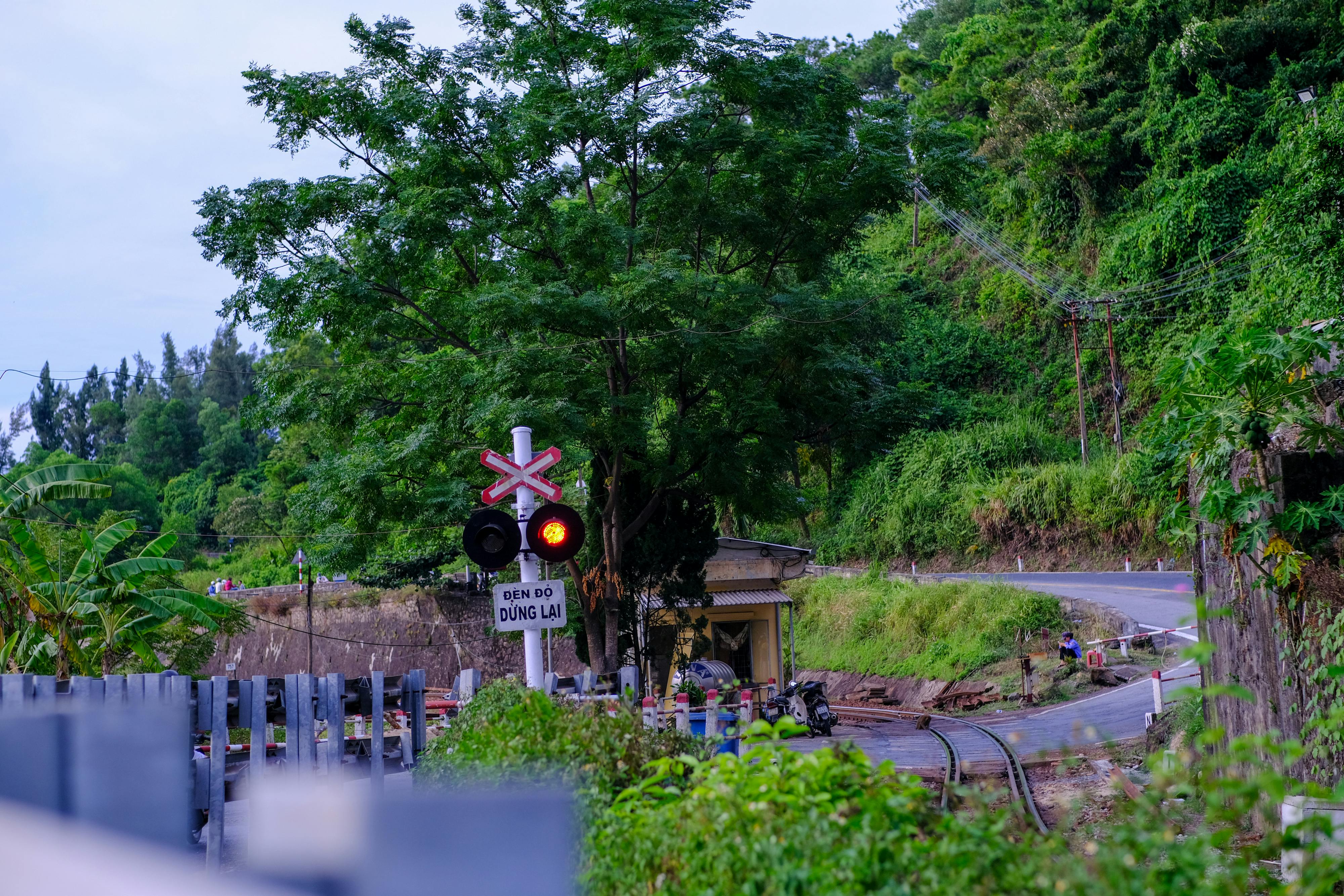 Trung tâm nghiên cứu văn học, phát triển nhà văn Việt Nam