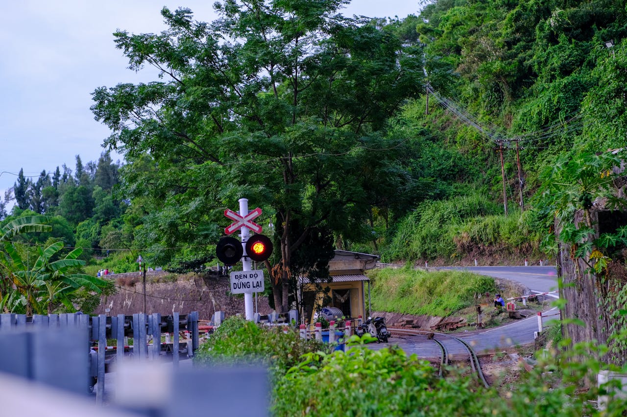 Thực vật có tri giác, nhưng chúng có ý thức không?