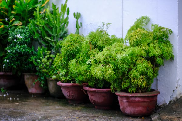 Trung tâm nghiên cứu văn học, phát triển nhà văn Việt Nam