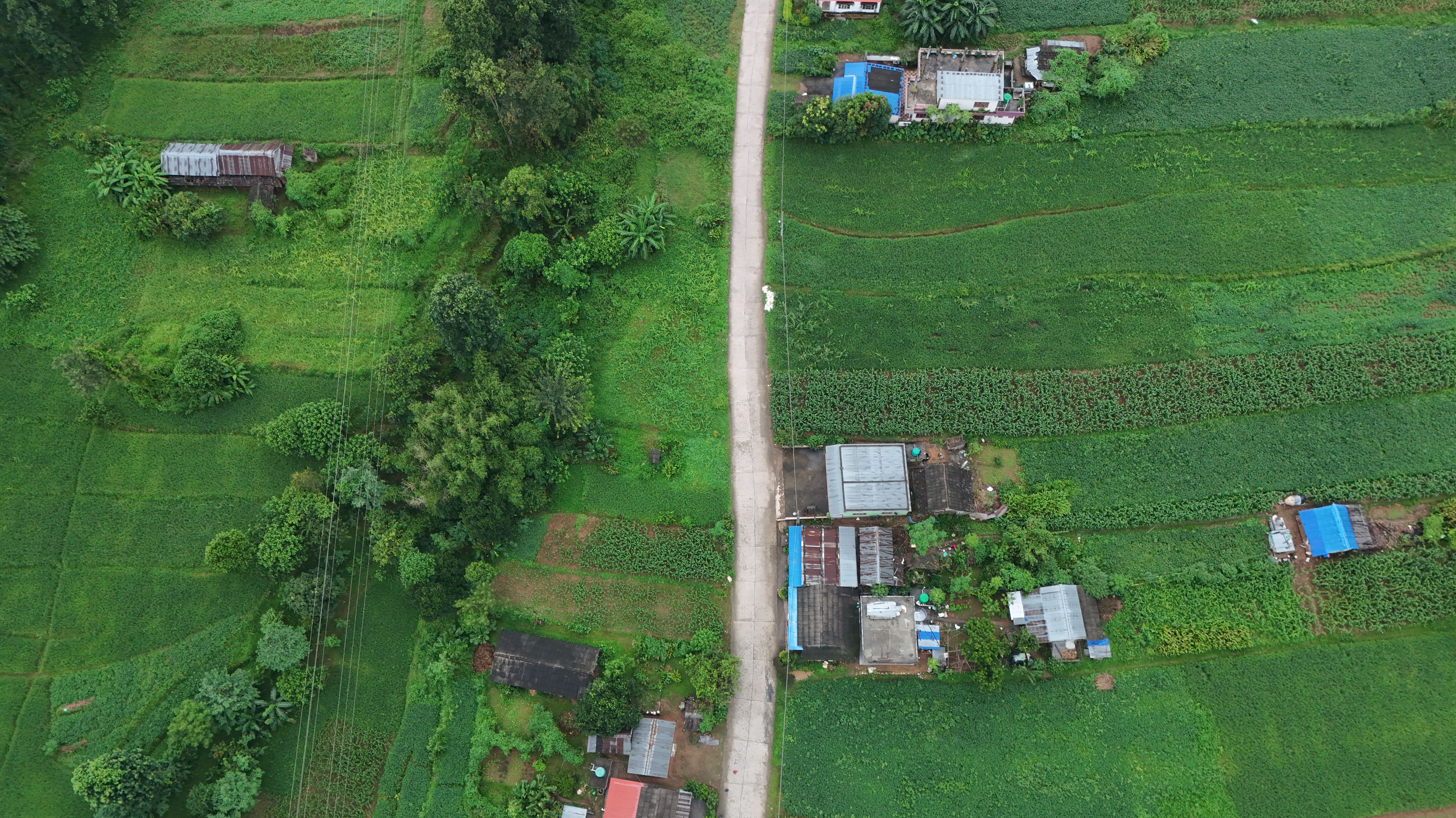 Lush Green Fields with Rural Homes Aerial View · Free Stock Photo