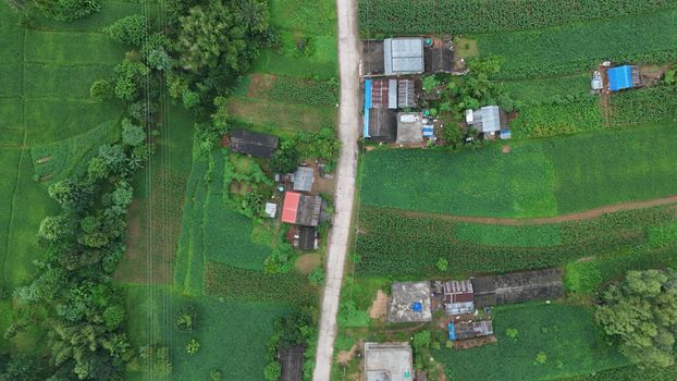 Aerial view showcasing vibrant green fields and rural homes in Nepal. Ideal for nature and travel visuals.