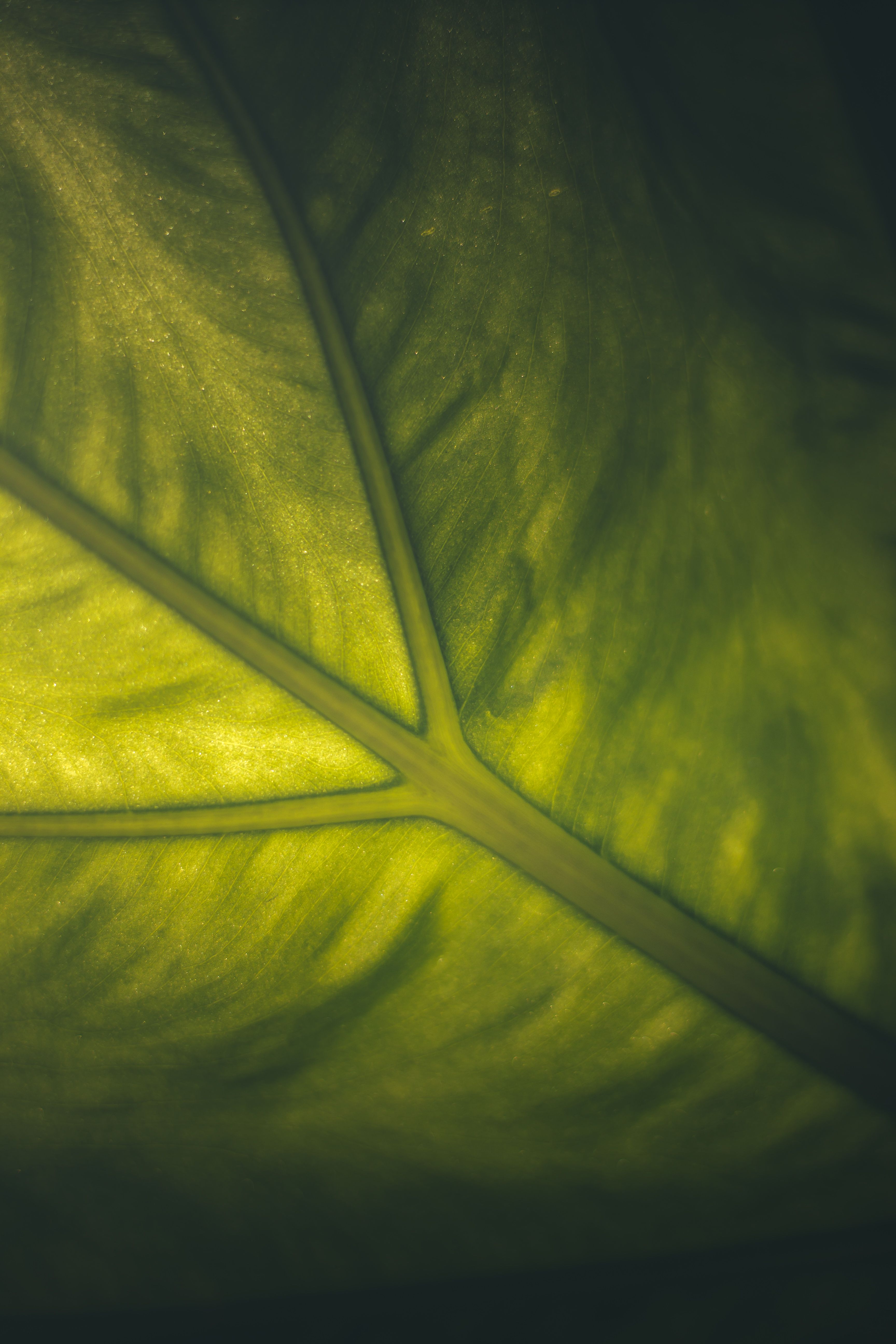 Photo by Andri File on pexels