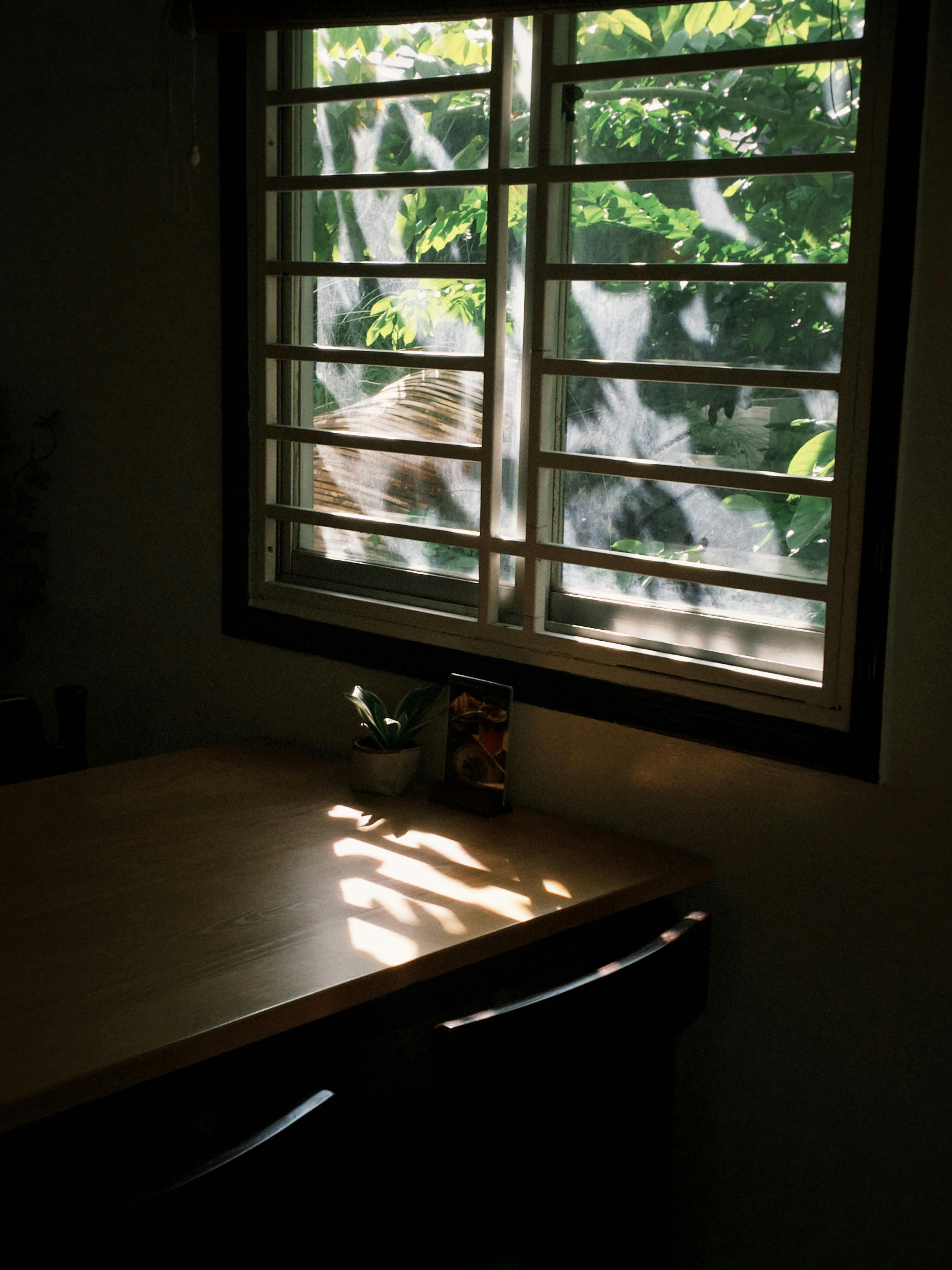 Gratuit O cameră confortabilă, cu lumina soarelui care se filtrează prin fereastră, creând o atmosferă liniștită. Fotografie de stoc