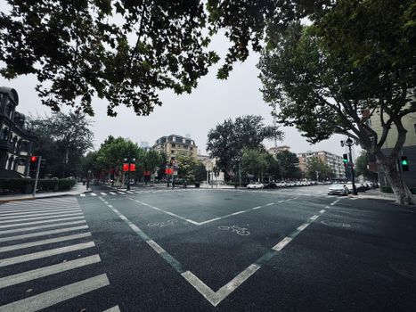 A quiet urban intersection in Tianjin, China, captured on an overcast day showing lush green trees and bicycle lanes.