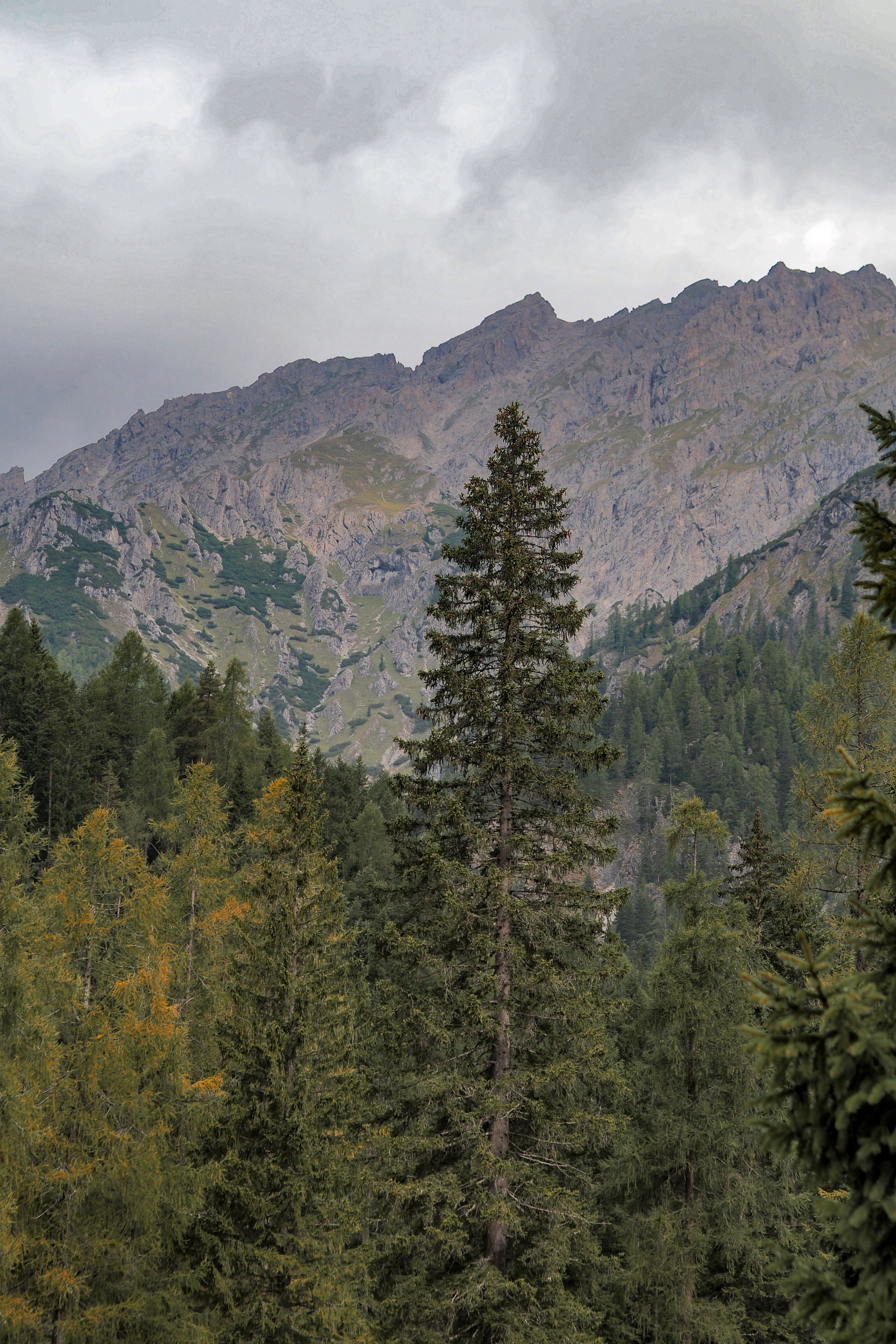 Scenic Alpine Landscape in Österreich · Free Stock Photo