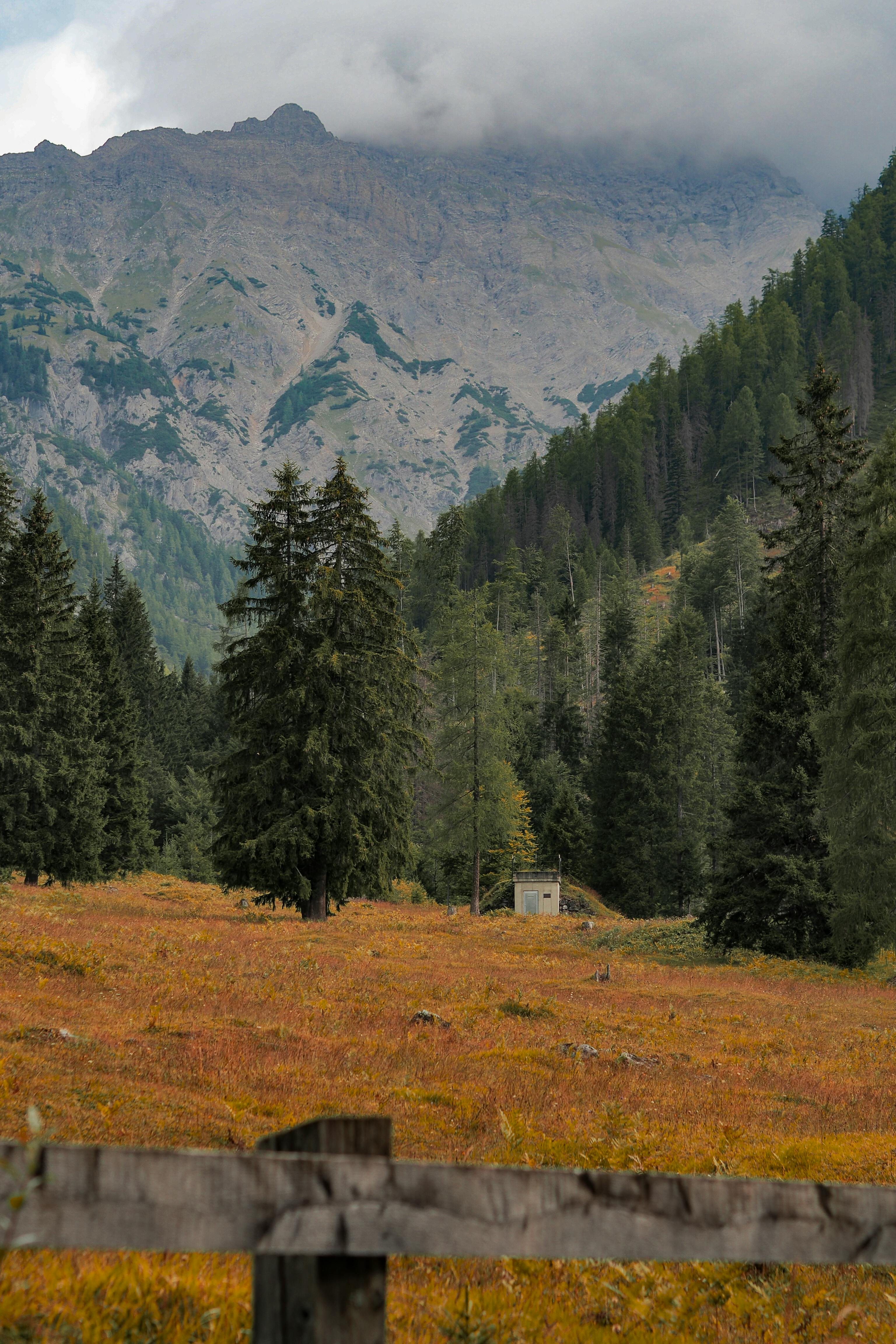 Beautiful Austrian Alps covered in autumn foliage with a cloudy sky.