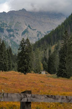 Beautiful Austrian Alps covered in autumn foliage with a cloudy sky.