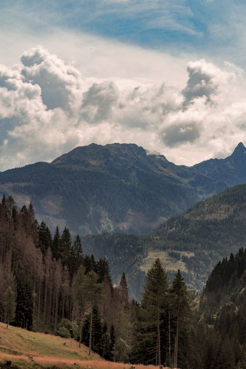 Free Scenic view of Austrian Alps with lush forests and dramatic clouds. Stock Photo