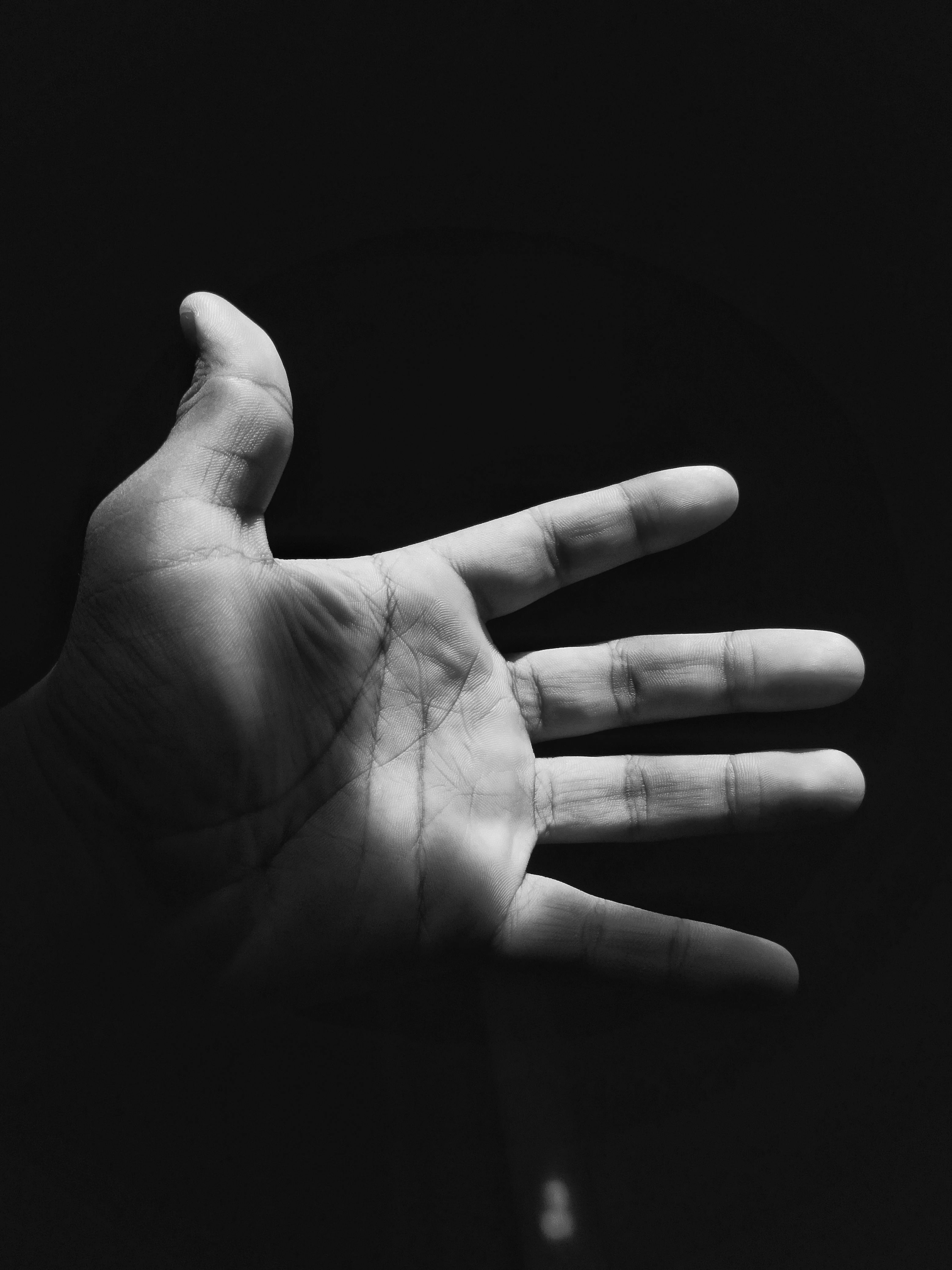 De franc Una impactant foto en blanc i negre d'una mà oberta amb una il·luminació espectacular, que ressalta la textura i les línies. Foto d'estoc