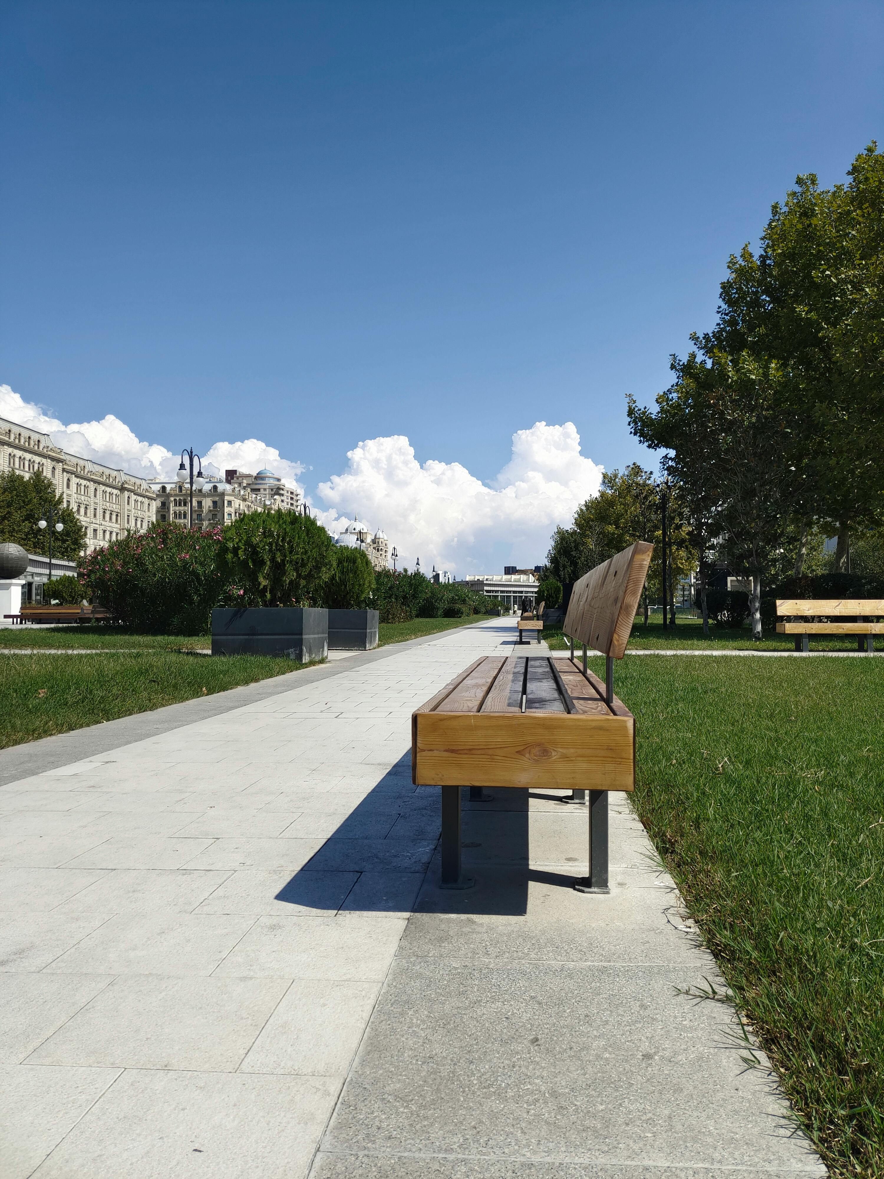 A flat park path with benches