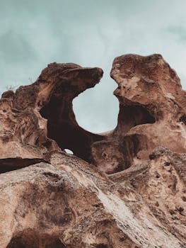 好的，我会按照您的要求进行句子的调整