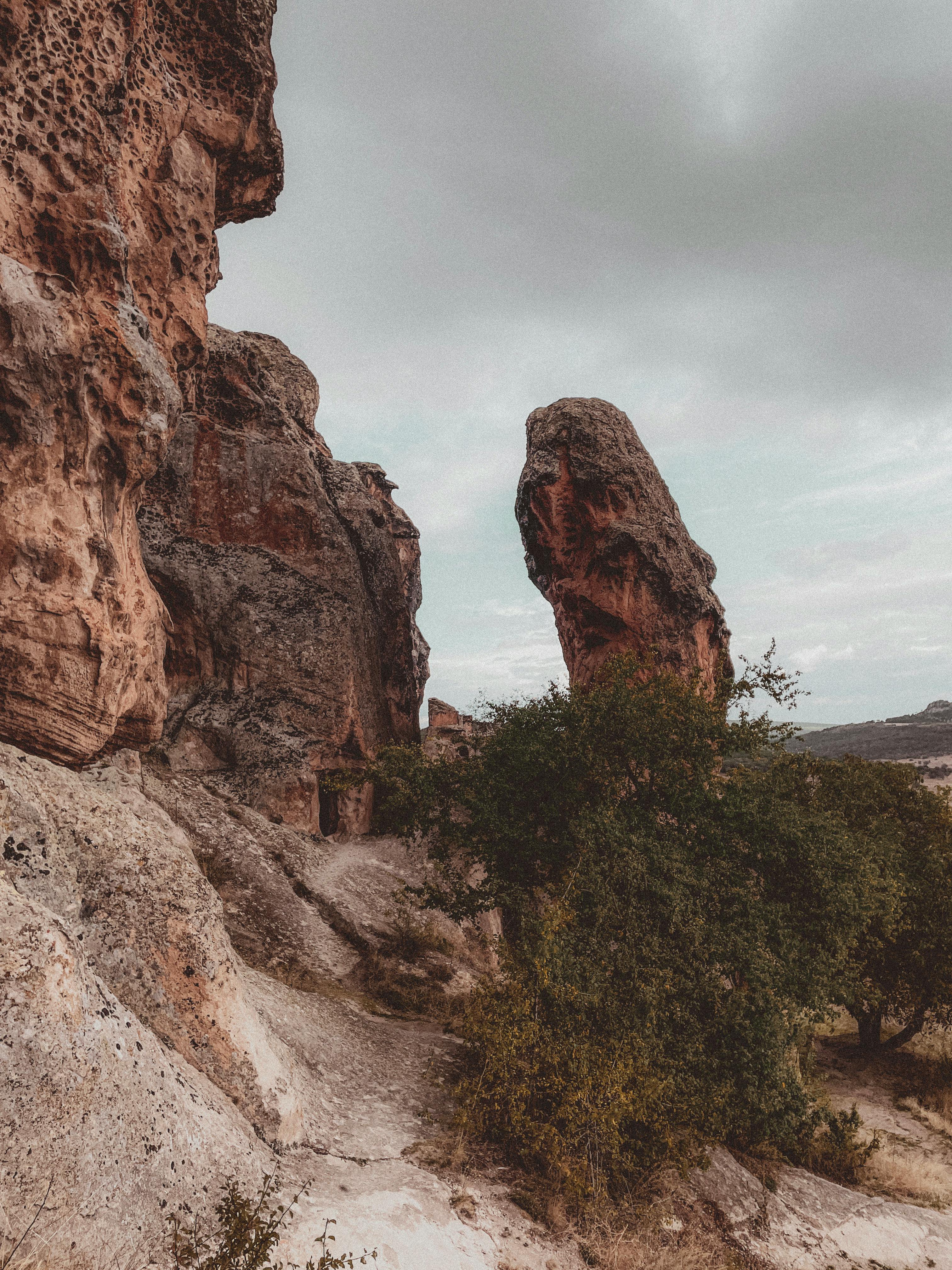 好的，请提供您需要修改的句子