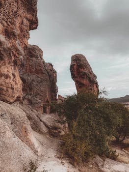 好的，请提供您需要修改的句子