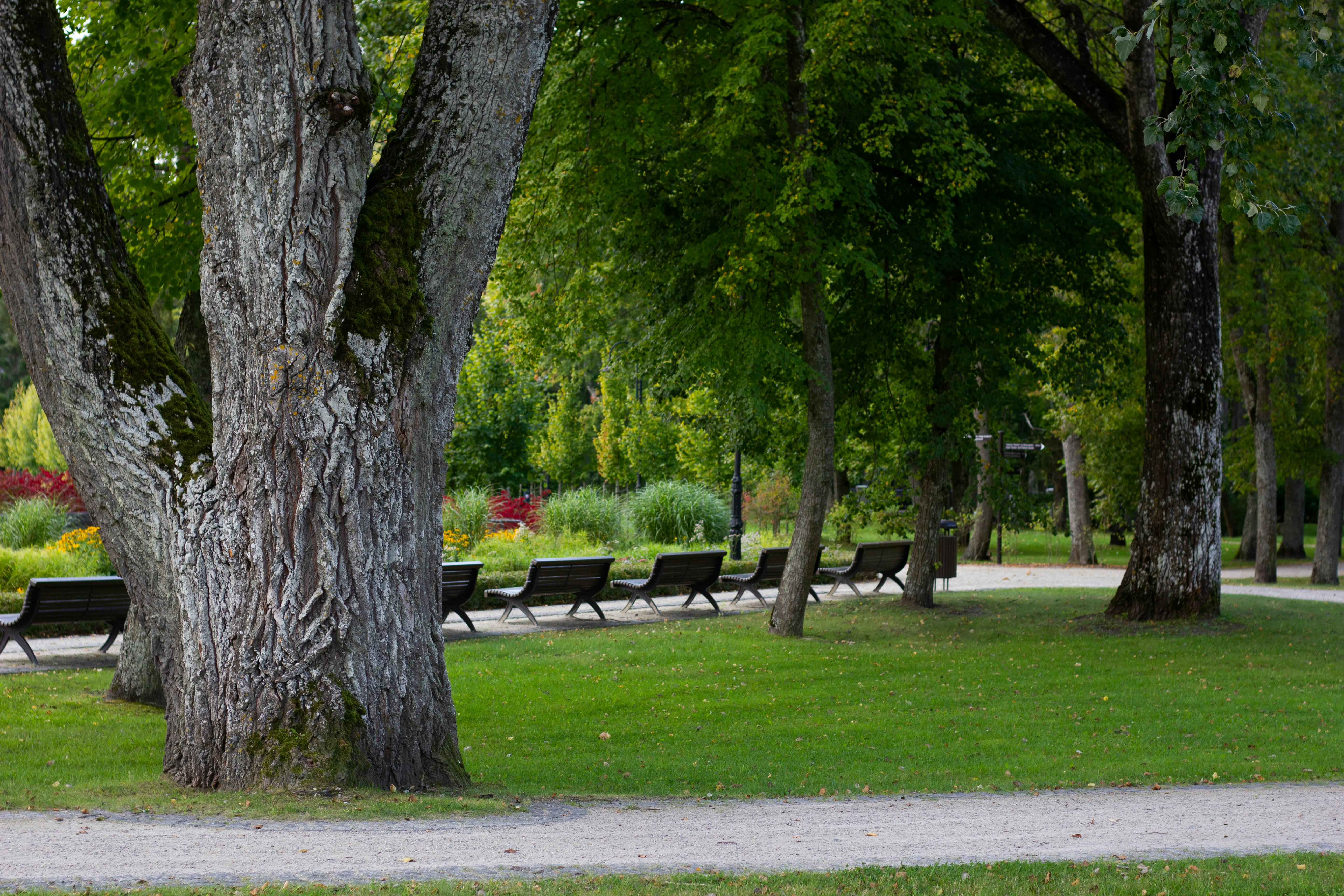 Park Valkenberg