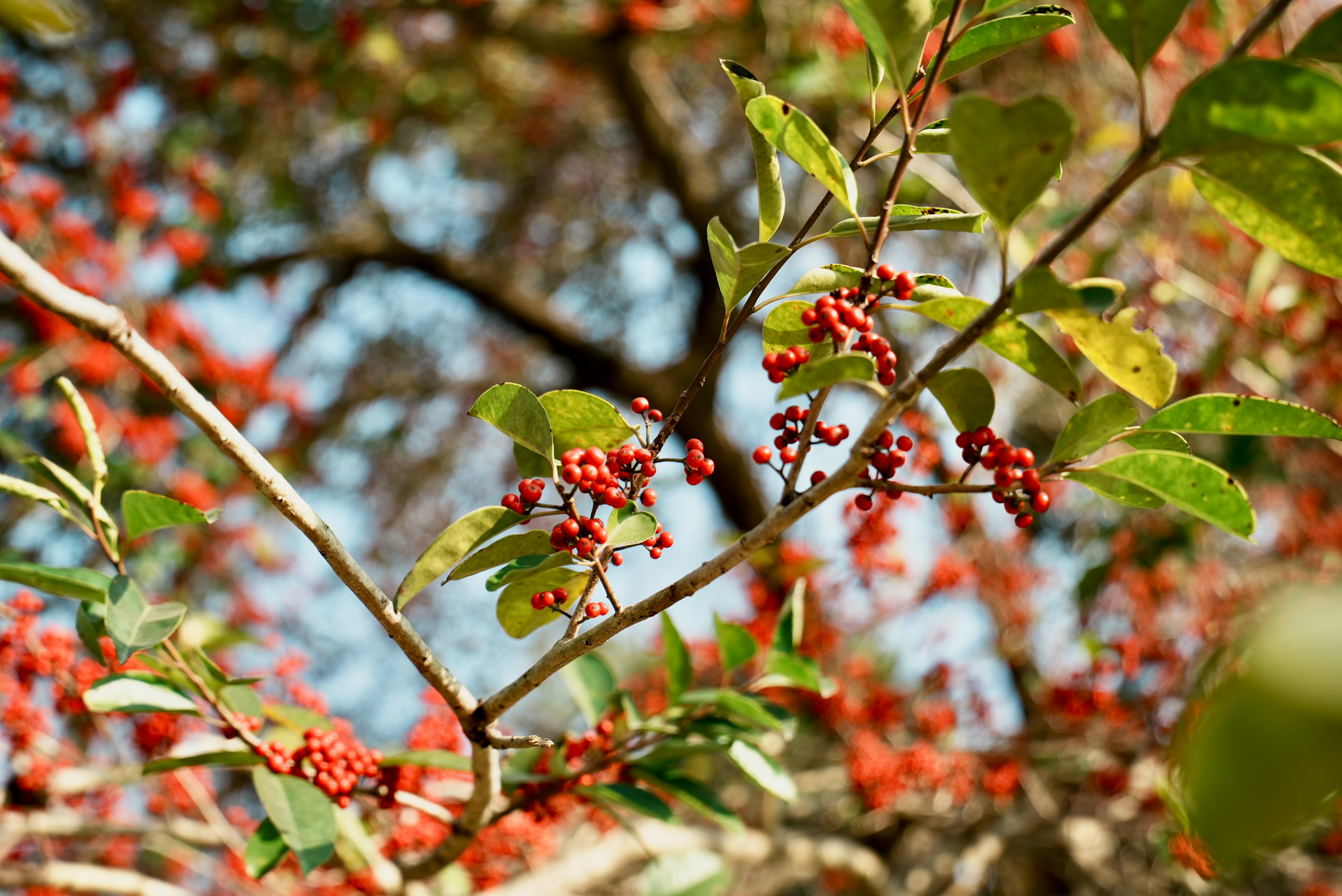 竹市推廣DIY蔬果酵素 動手減廢實踐綠生活