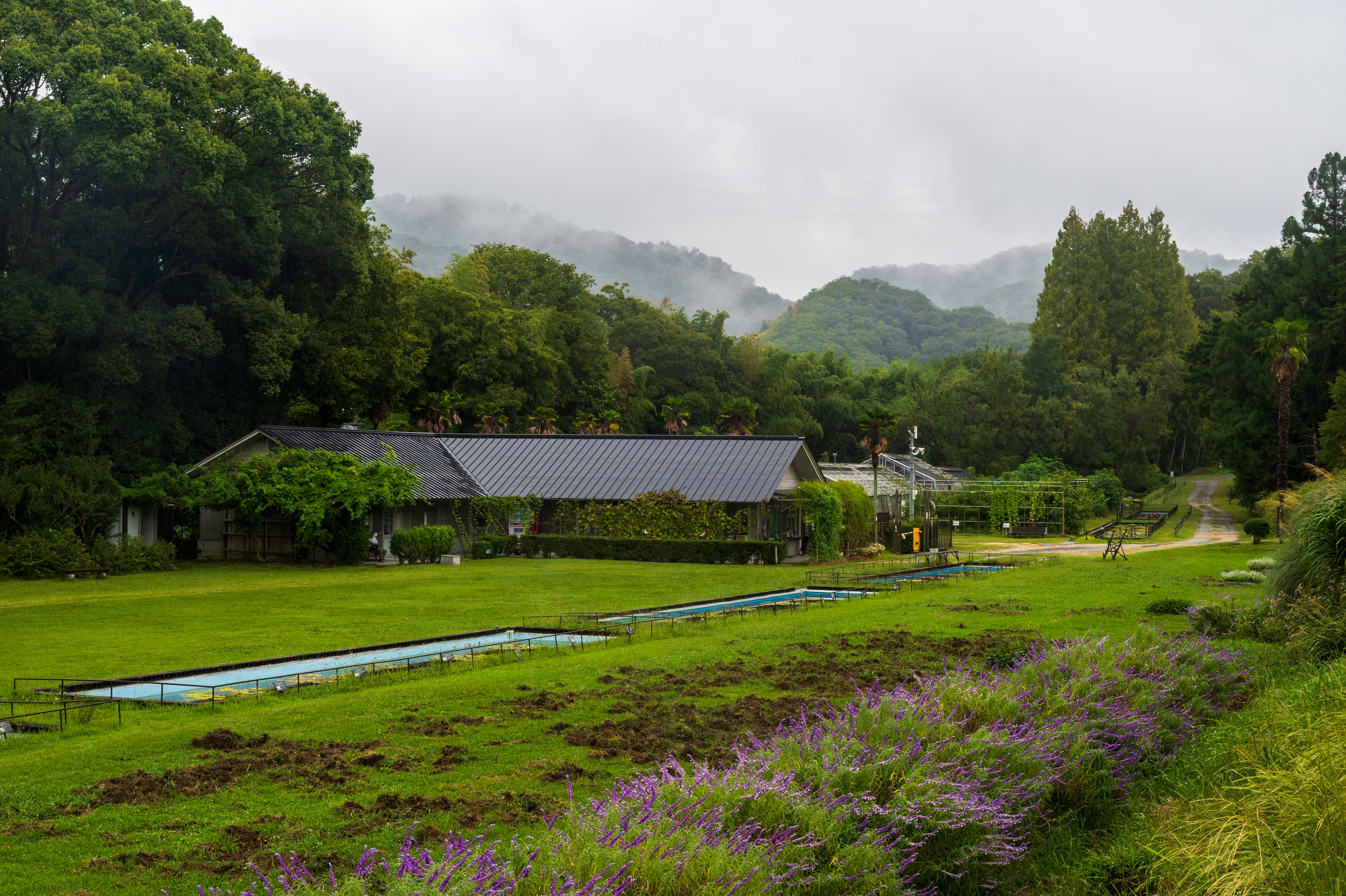 Serene Countryside Landscape with Misty Mountains · Free Stock Photo