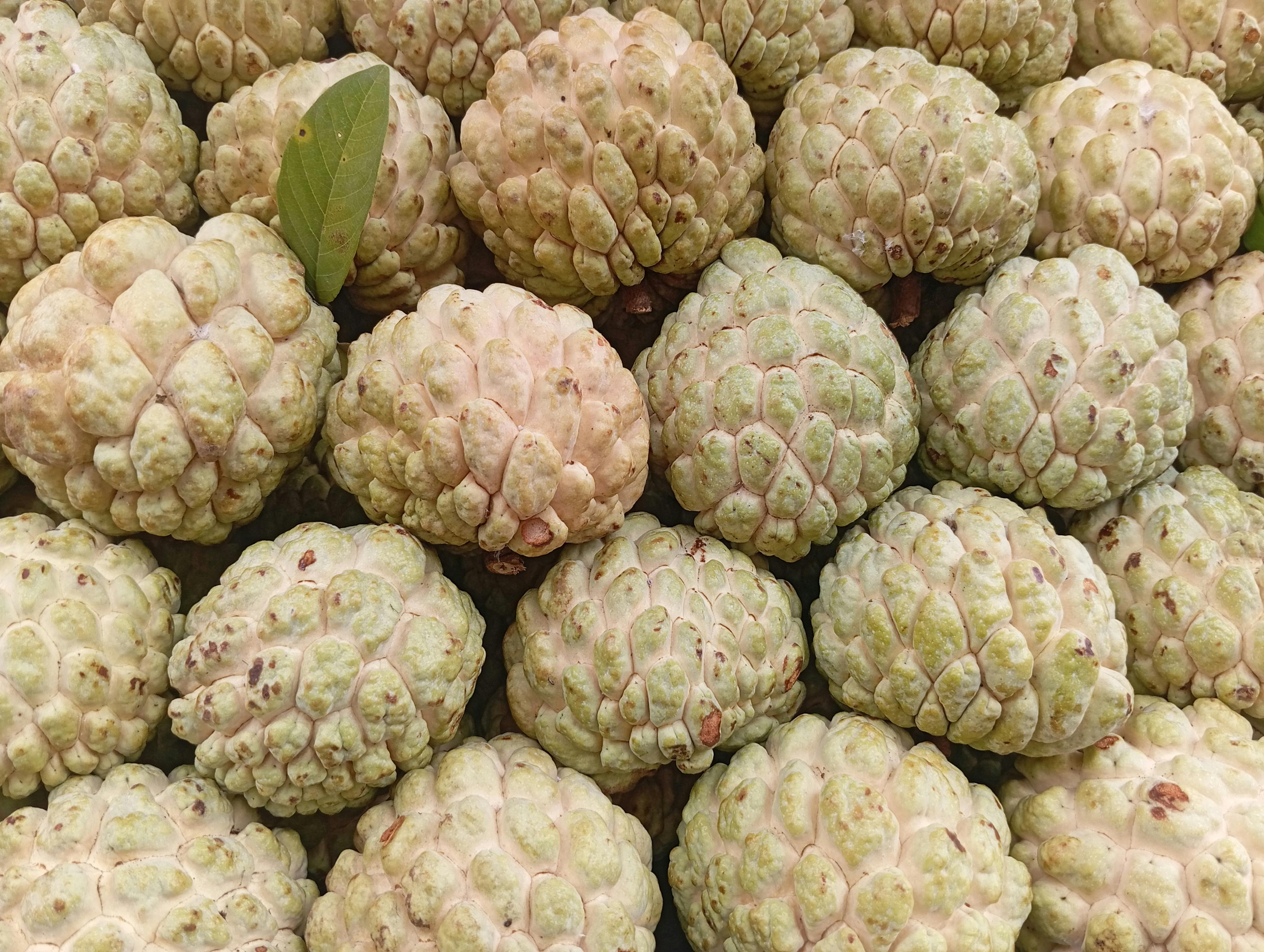 竹市推廣DIY蔬果酵素 動手減廢實踐綠生活