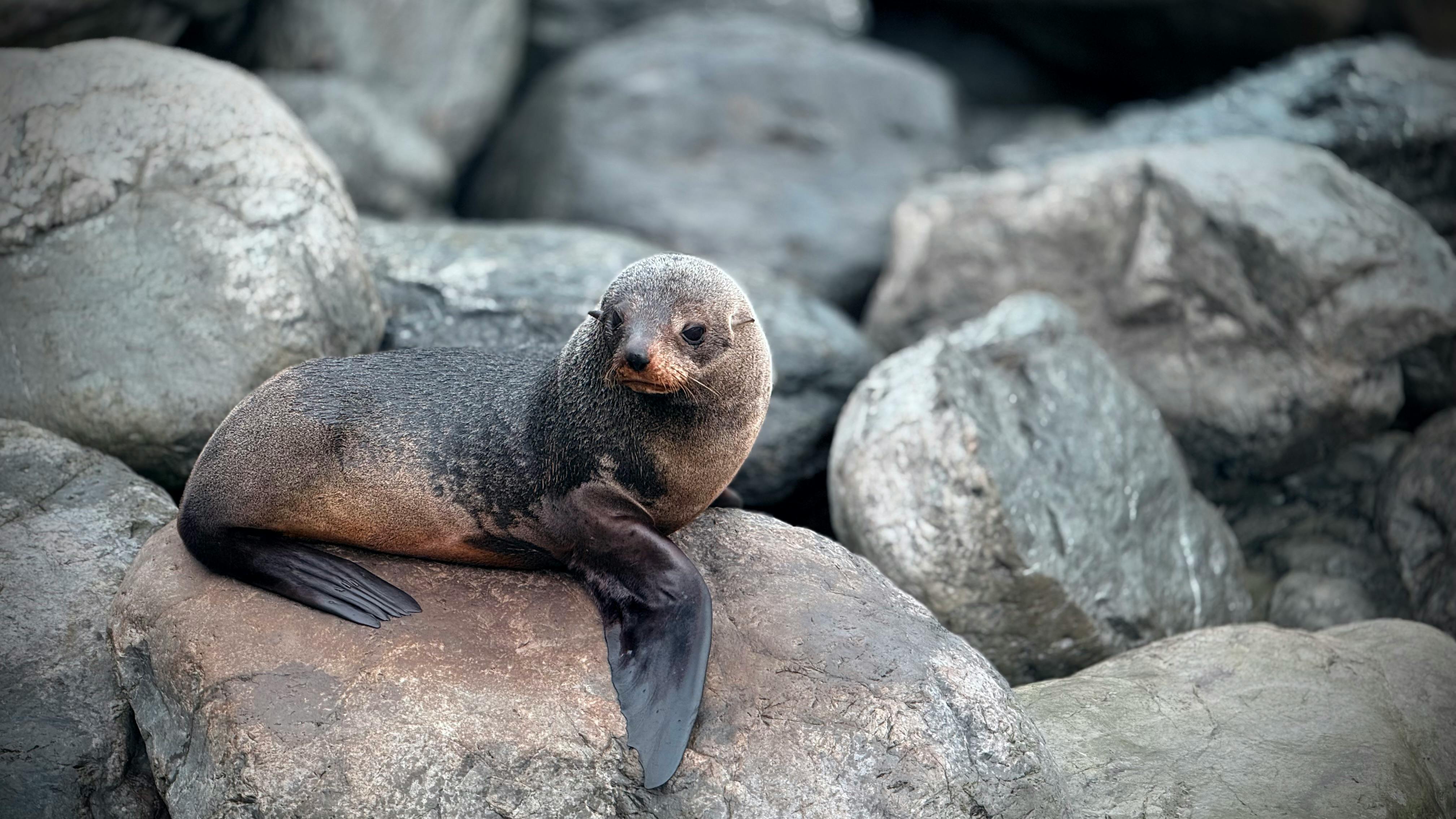好的，我会按照您的要求进行语句的调整