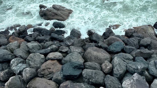 您没有提供需要我优化的句子，请提供给我以便我能进行相应的调整