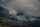 4k forest