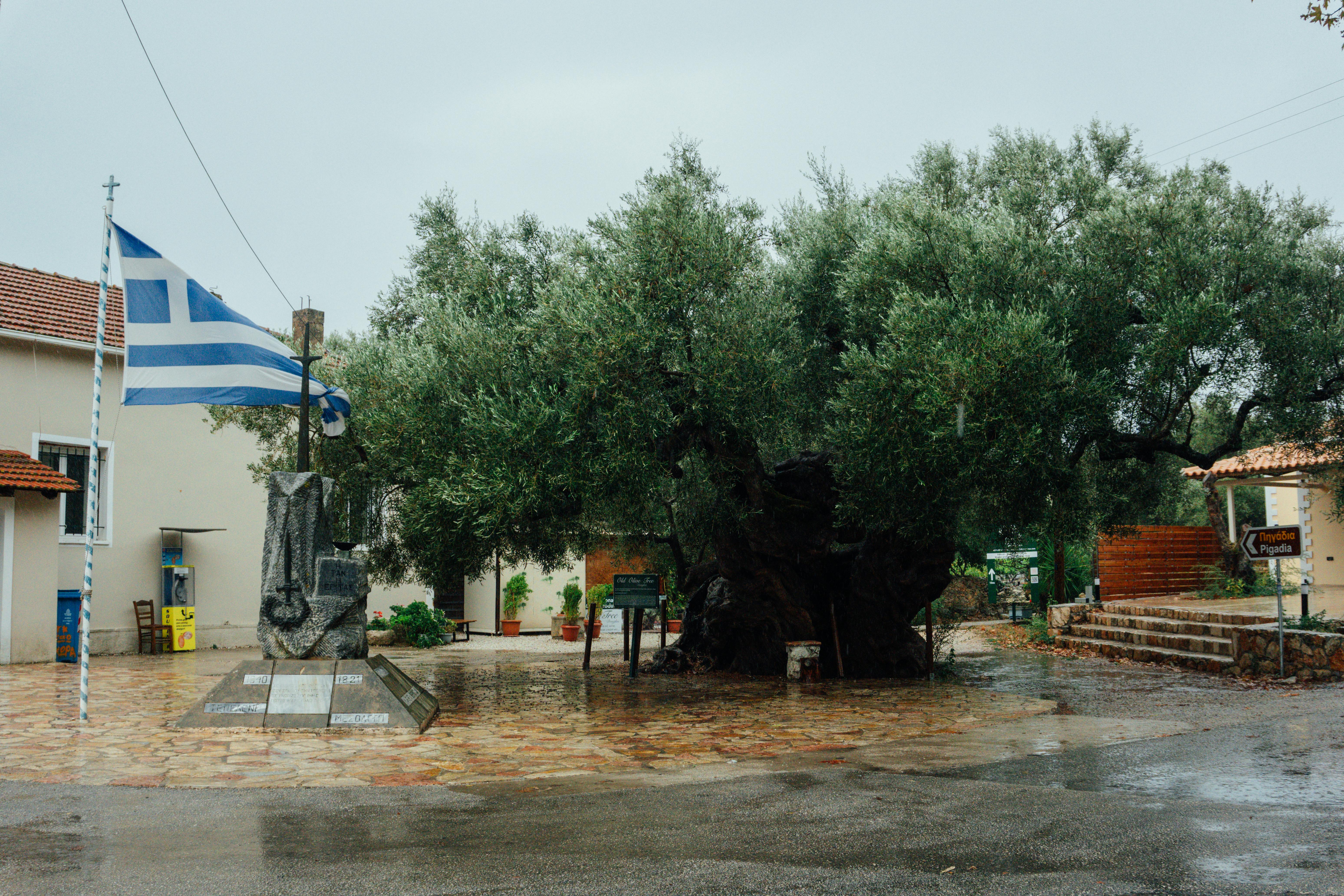 Aristeon Olive Oil Factory (Lithakia)
