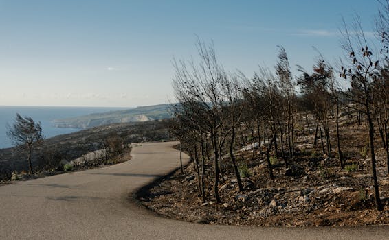 在希腊扎金索斯州，曲折的道路穿行于焦黑的景致之中，人们得以饱览壮丽的海景