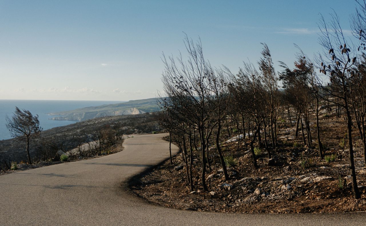 Grèce : vents violents compliquent la lutte contre un feu de forêt près d'Athènes