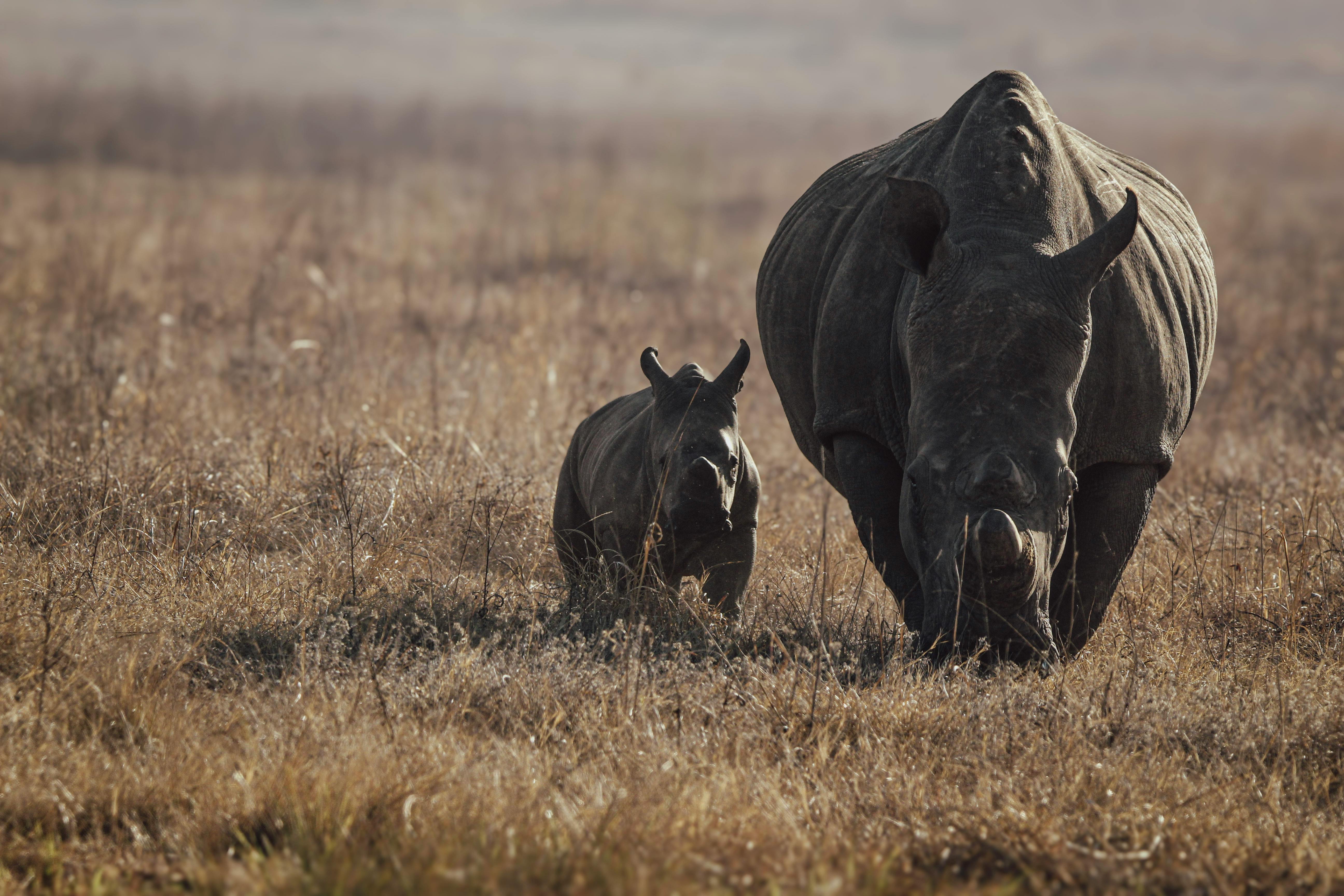 國際：南韓演員沈亨倬攜兒子Haru為哆啦A夢慶生 感動落淚分享幸福