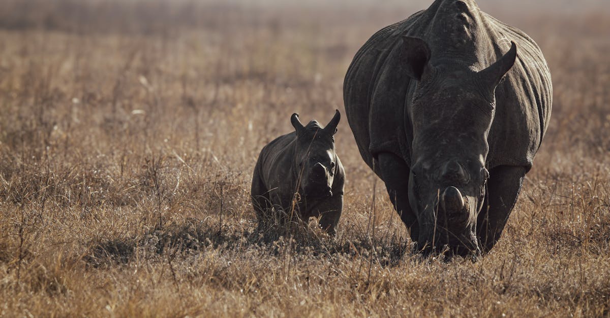 國際:南韓演員沈亨倬攜兒子Haru為哆啦A夢慶生 感動落淚分享幸福