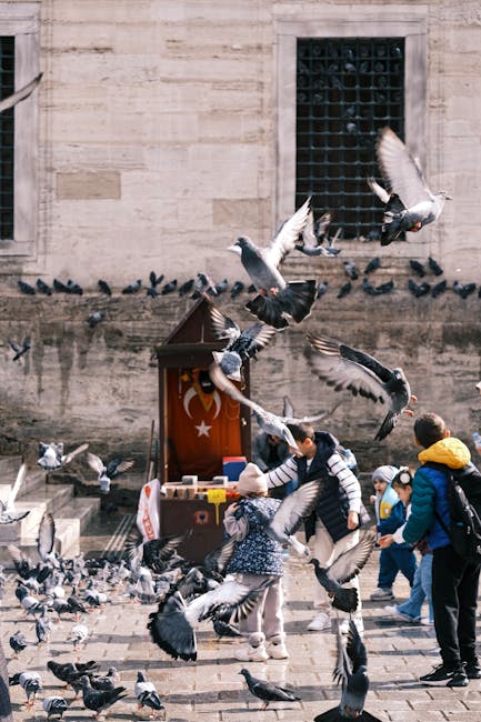 Children feed pigeons in a lively courtyard near a mosque in Istanbul, Turkey.