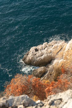 岩石悬崖的壮丽景色，充满活力的树叶俯瞰蓝色的海浪