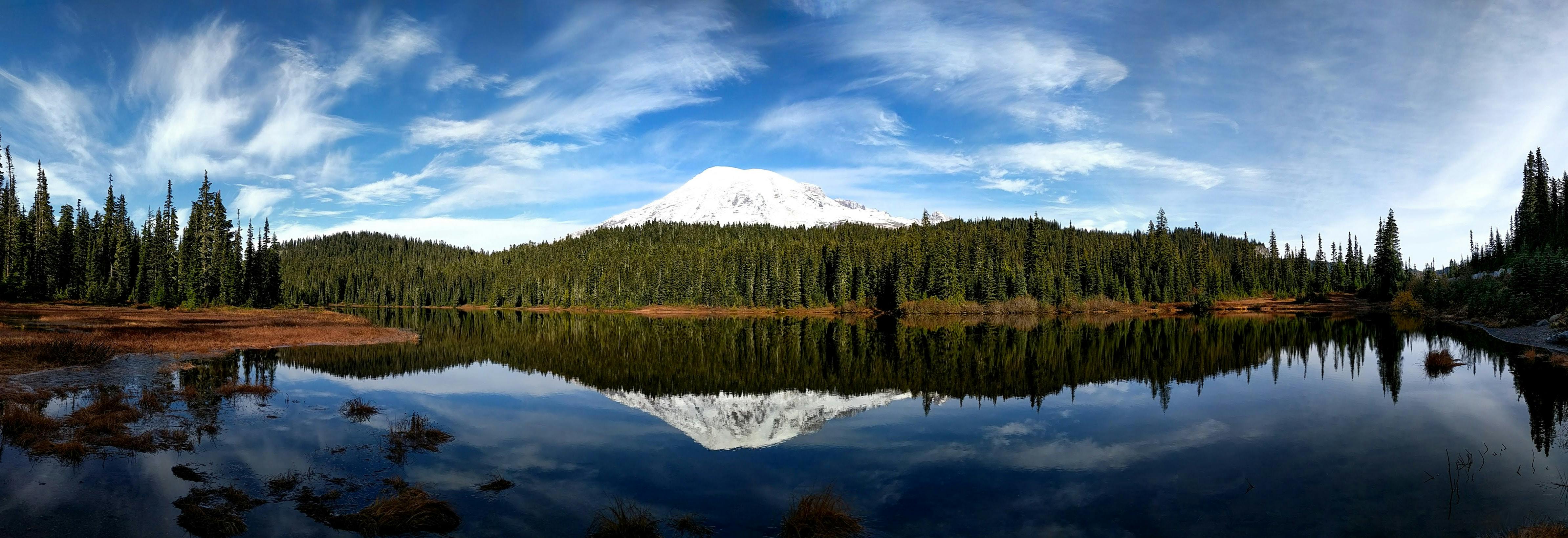 Persona mirando al horizonte con una taza de café en la mano