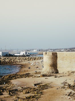 好的，我会遵循您的指示进行句子的优化