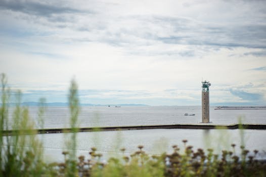 前景中有一些鲜花的灯塔