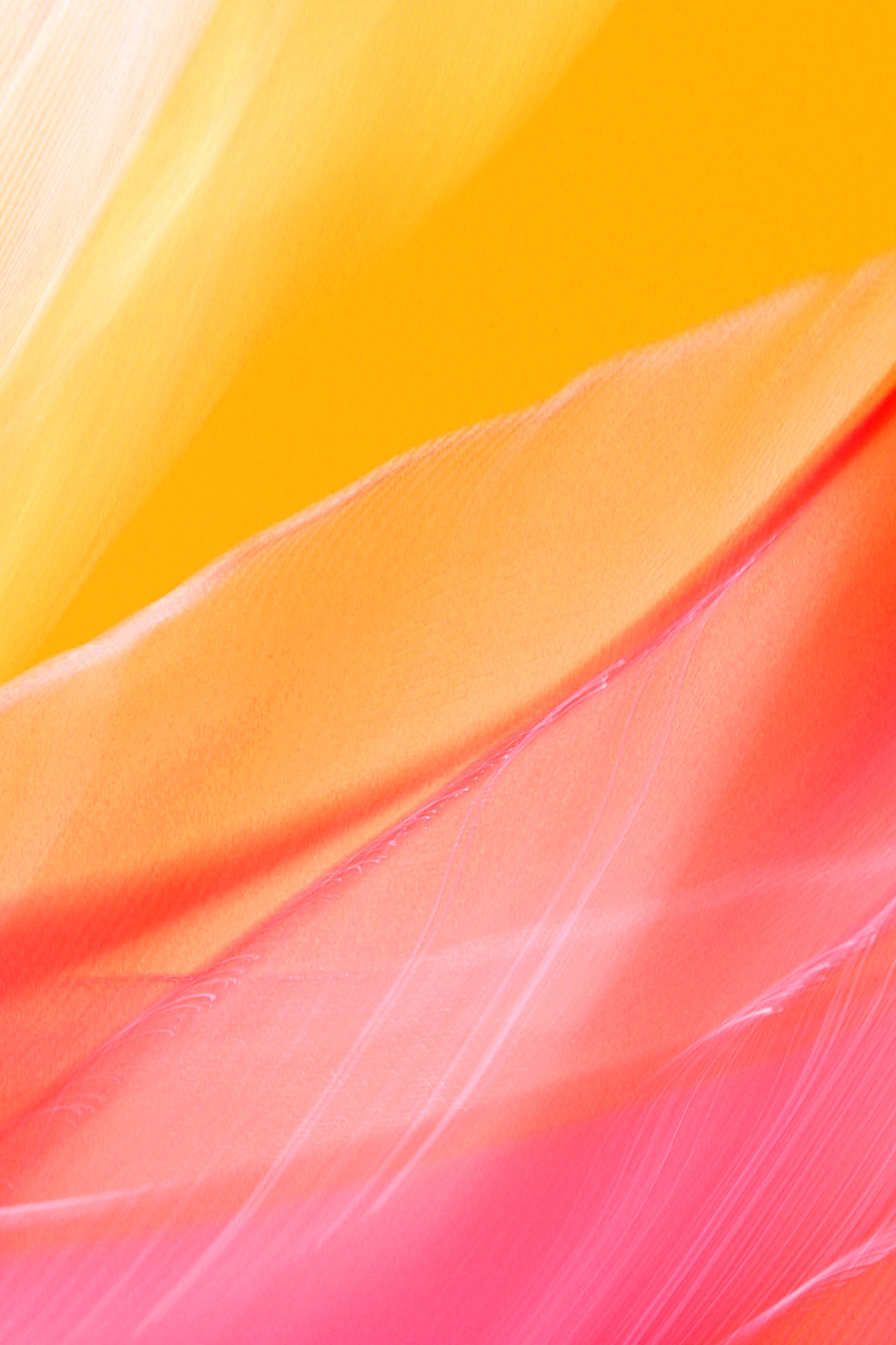 Abstract close-up of colorful feathers showcasing bright orange, pink, and yellow hues.