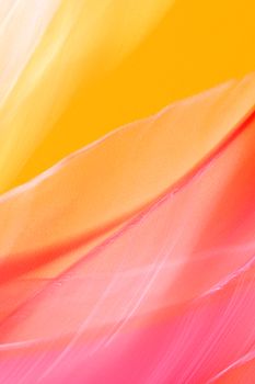 Abstract close-up of colorful feathers showcasing bright orange, pink, and yellow hues.