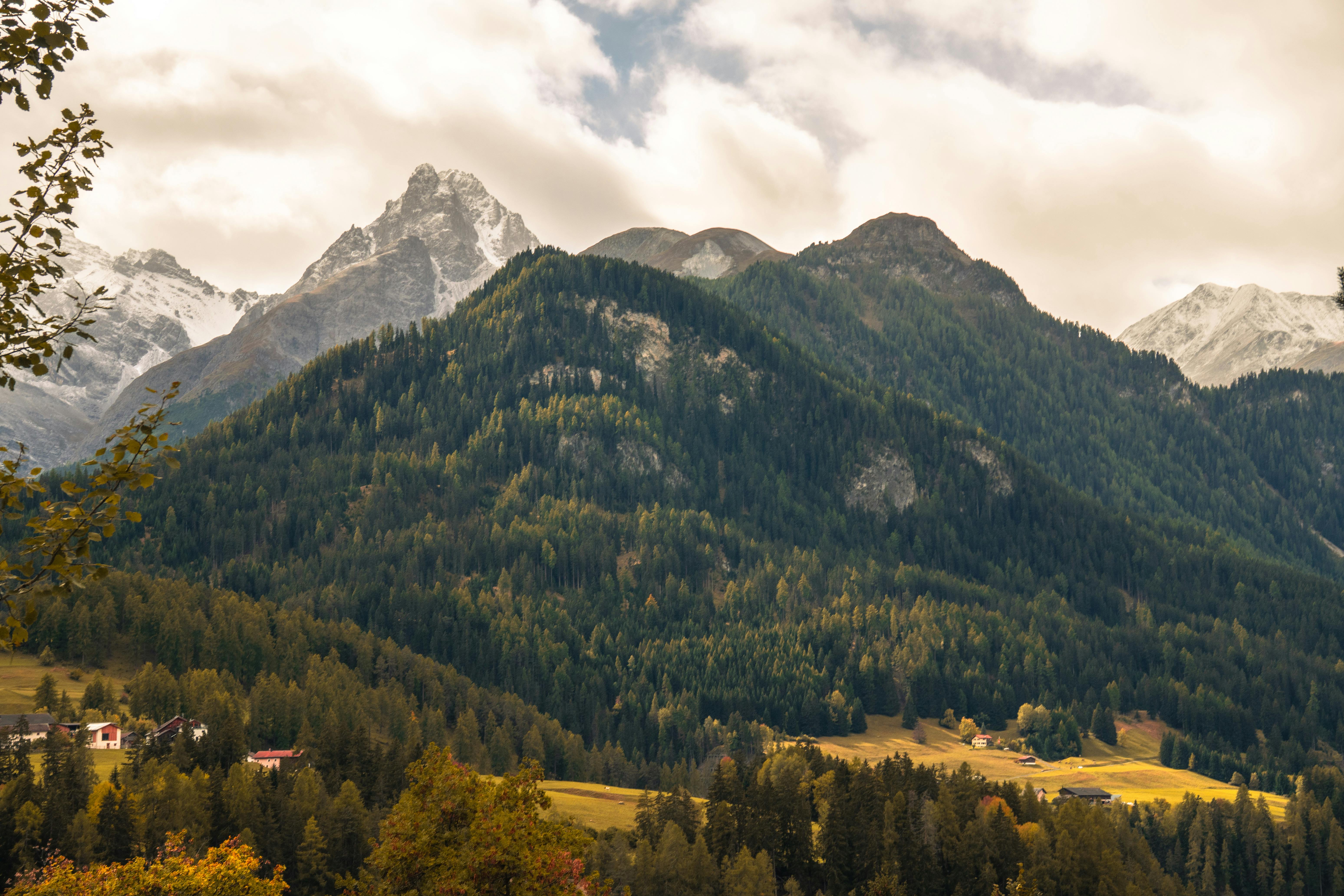在多云的天空下，高山山脉、郁郁葱葱的森林以及白雪皑皑的山峰构成了一幅令人惊叹的画面