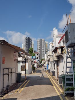 好的，我会按照您的要求进行句子优化