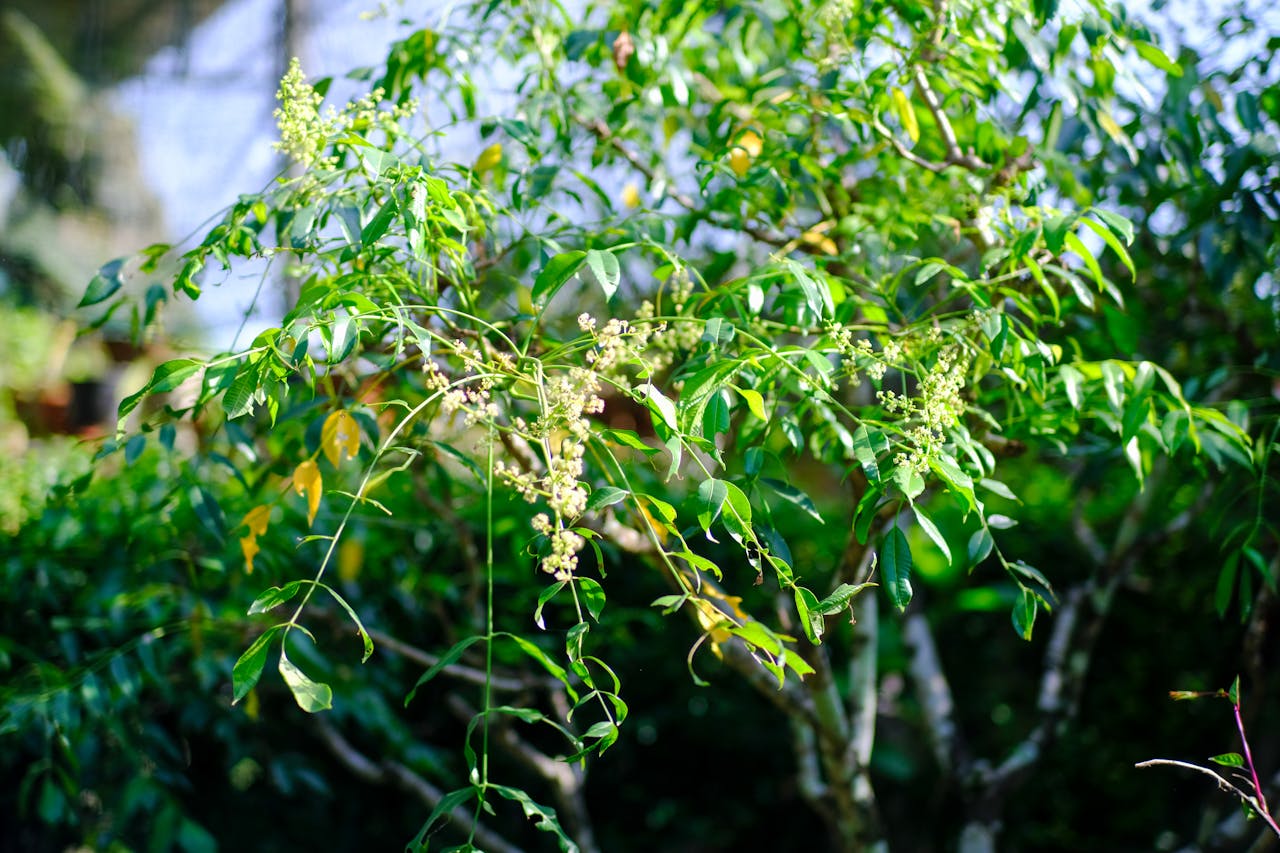 Hành trình anh hùng trong Star Wars