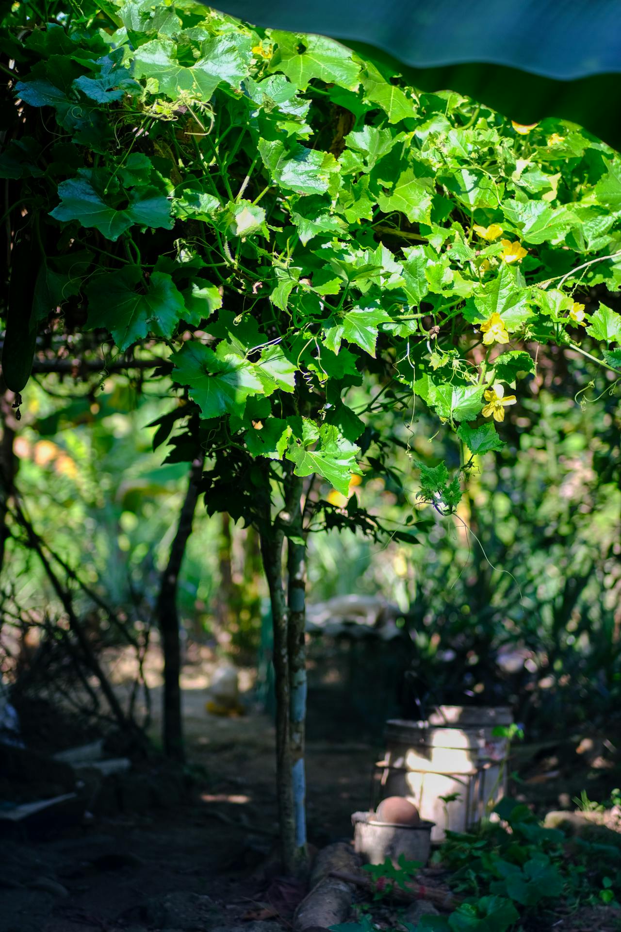 Hủy lời mời kết bạn đã gửi trên Facebook