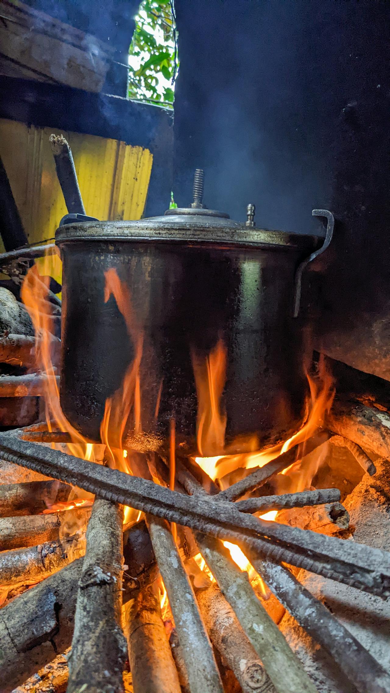 Biên niên ký chim vặn dây cót | Chương 48