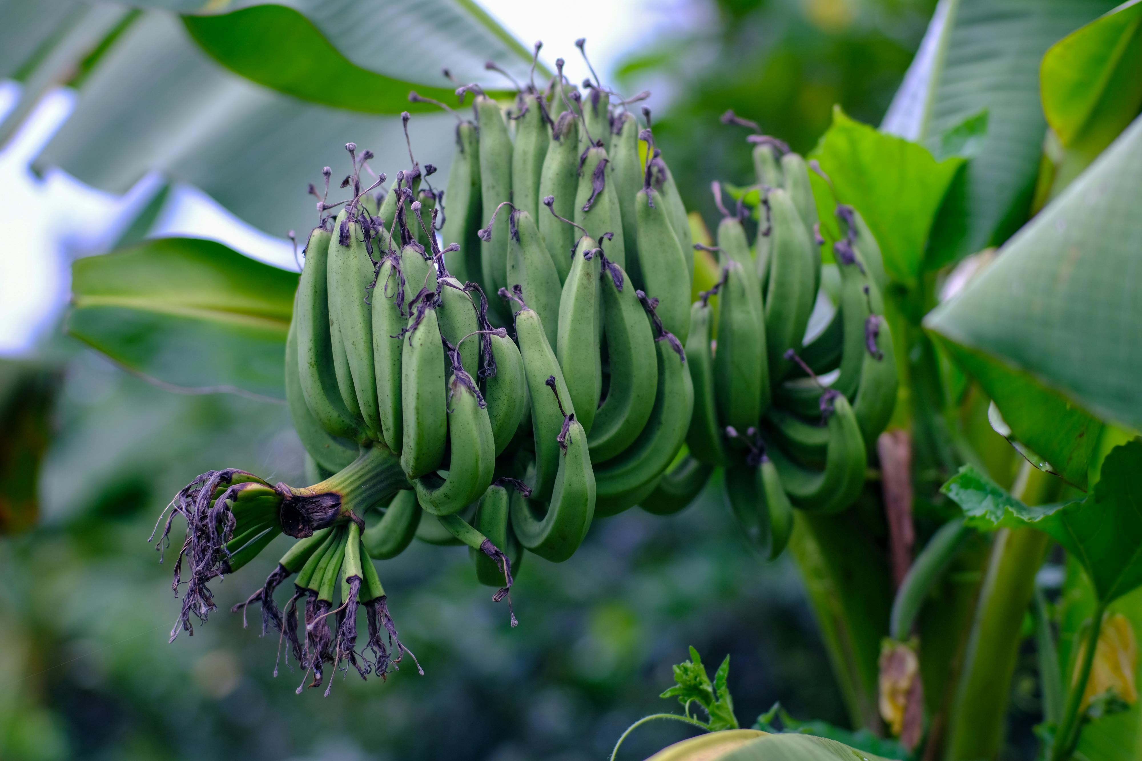 Trung tâm nghiên cứu văn học, phát triển nhà văn Việt Nam