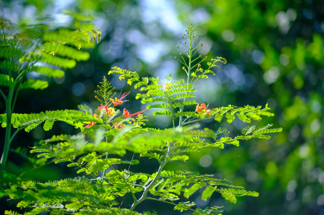 Thiên long bát bộ | Chương 32