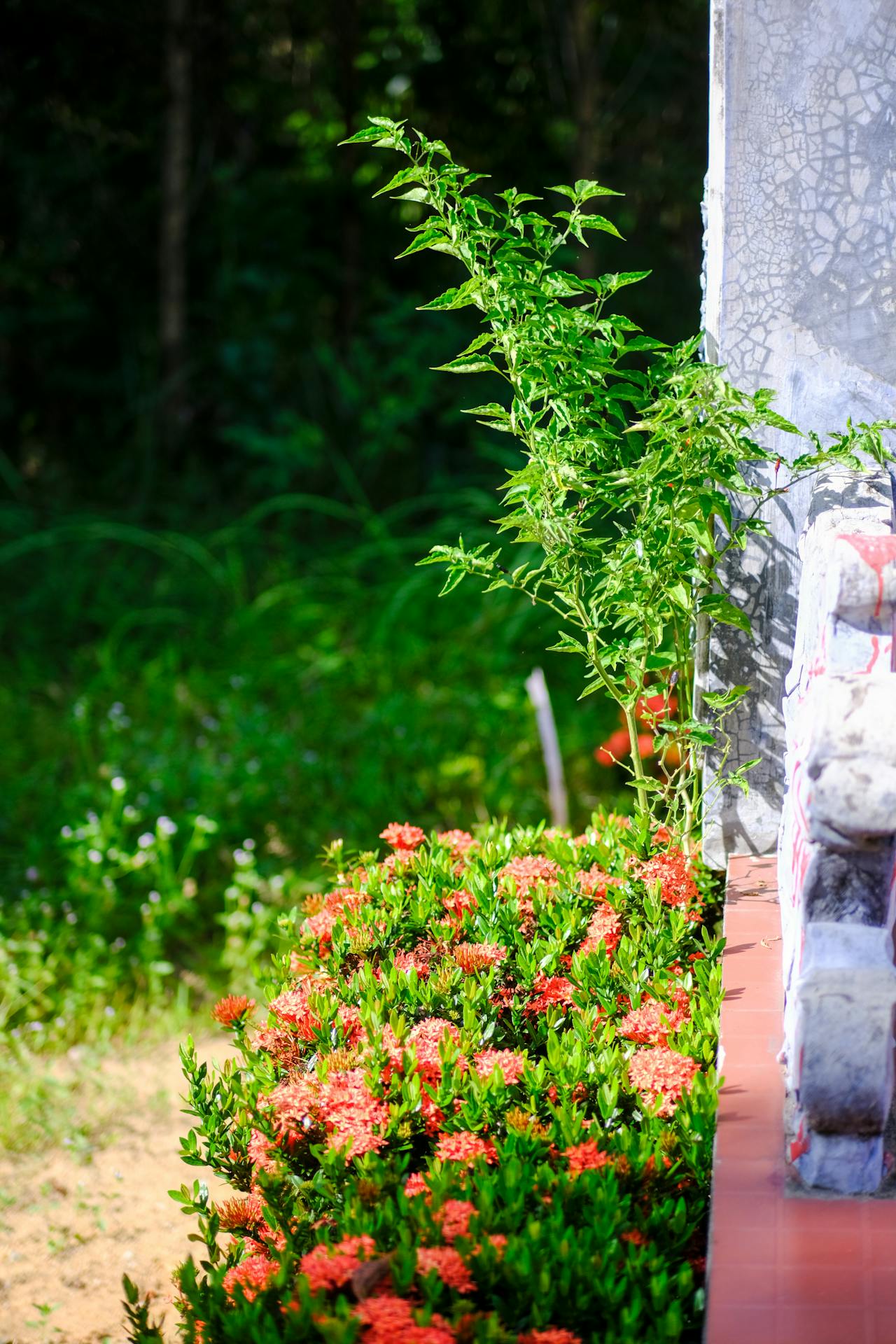 Thám tử lừng danh Conan | Chương 0311