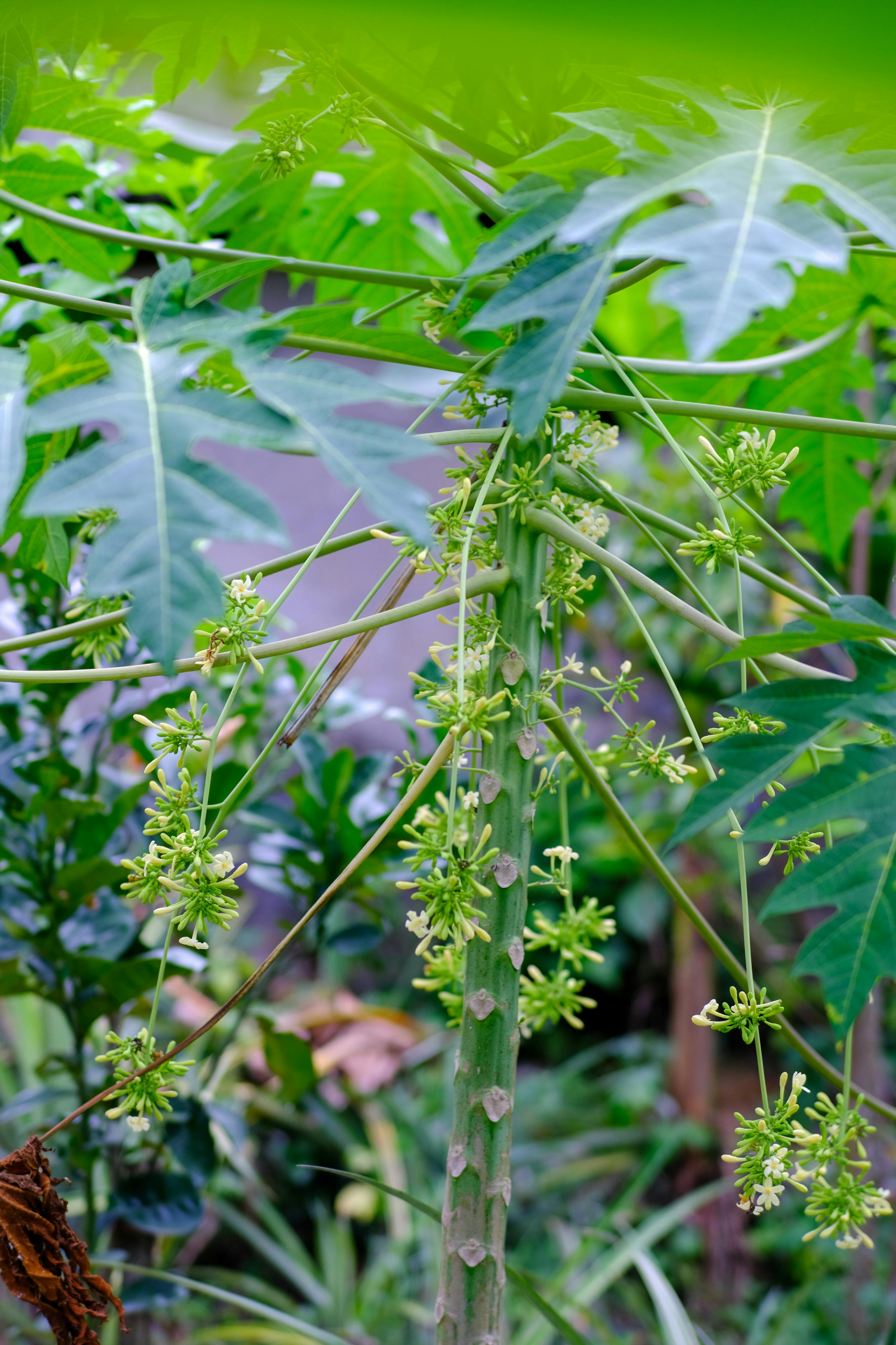 Top 5 khách sạn 4 sao Phú Quốc có hồ bơi đẹp nhất 114 – viet thue, marketing, khach san, b2b, kenh OTA, free booking links, channel manager, property management system, du lich mien nam, du lich phu quoc 4 sao ho boi.