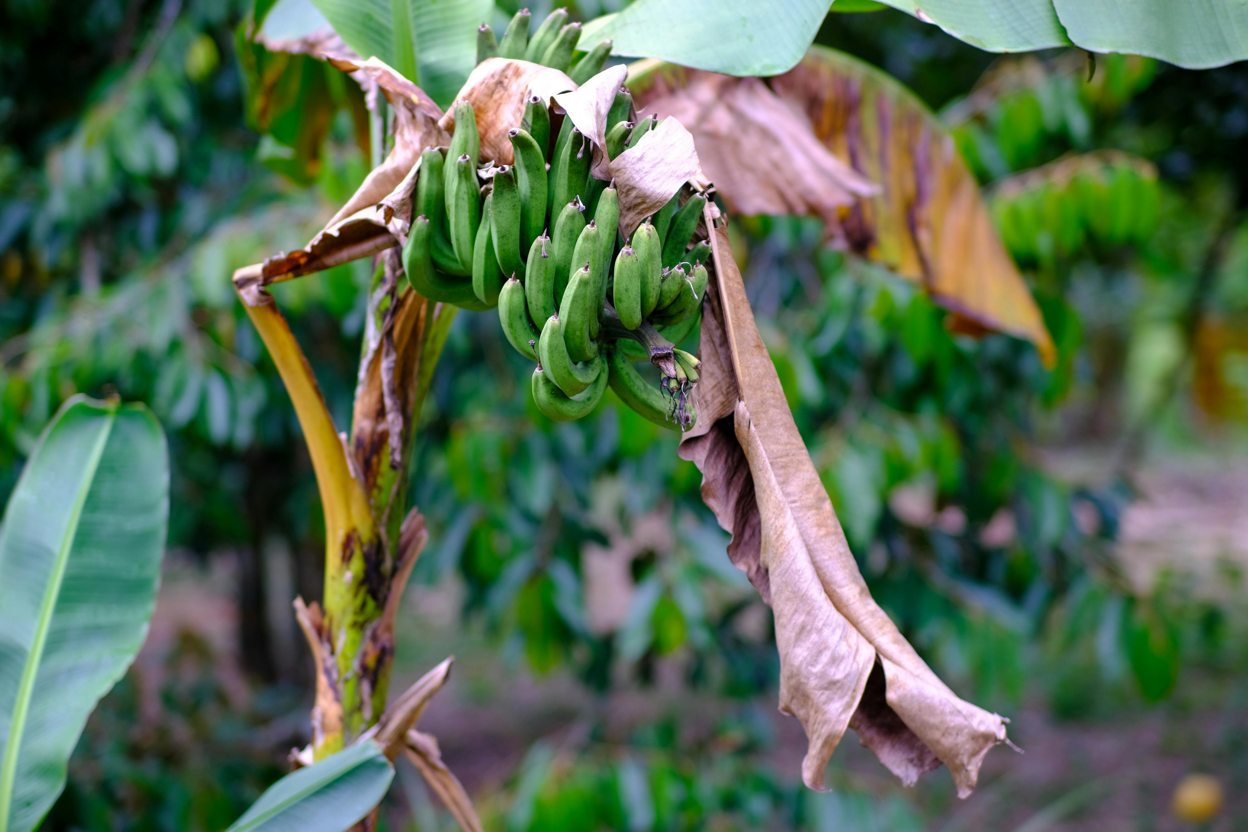 Thần điêu hiệp lữ | Chương 38 790 – thu vien, van hoc, van hoc trung quoc, kiem hiep, kim dung, than dieu hiep lu, than dieu hiep lu chuong 38, than dieu hiep lu 38.