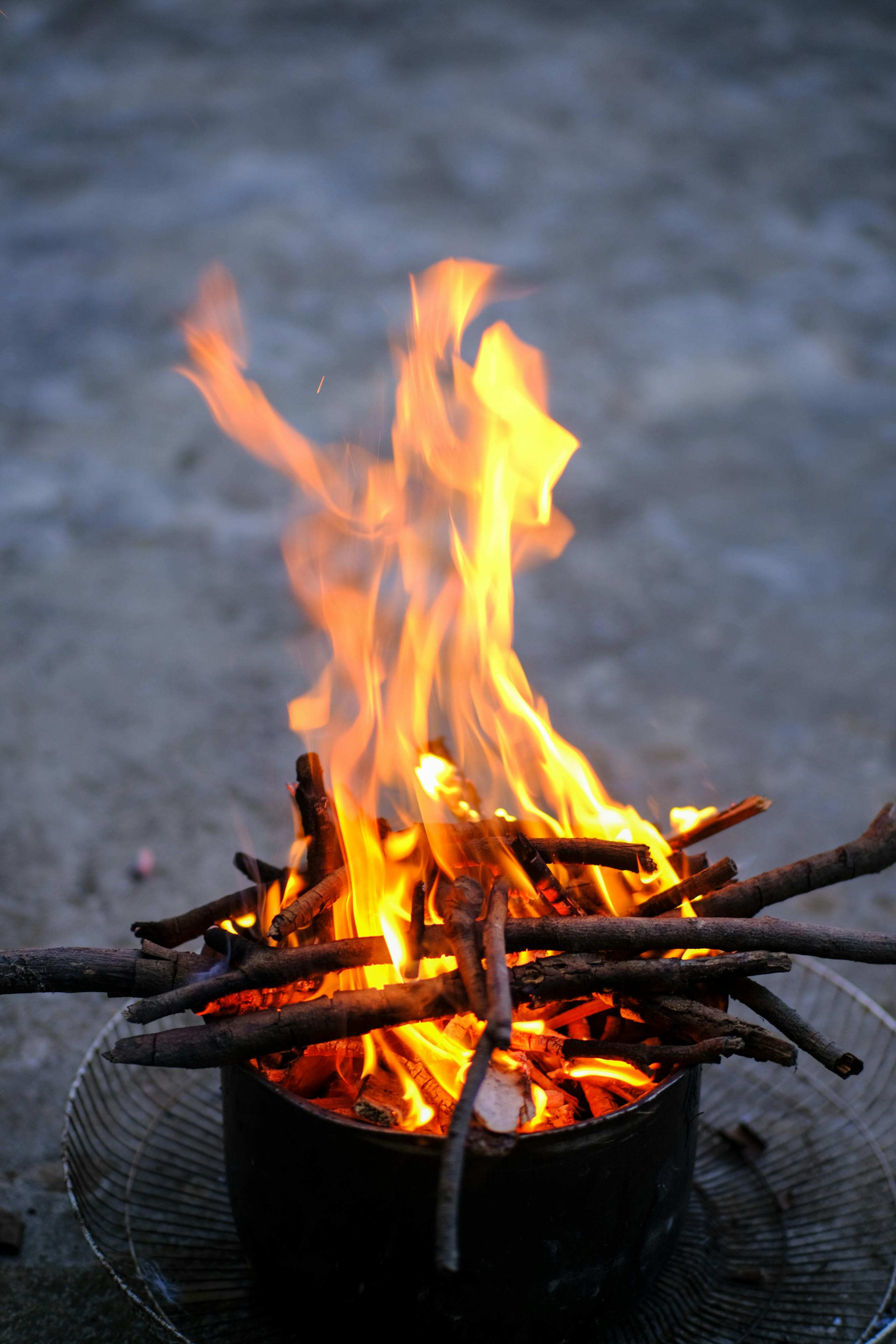 Trung tâm nghiên cứu văn học, phát triển nhà văn Việt Nam