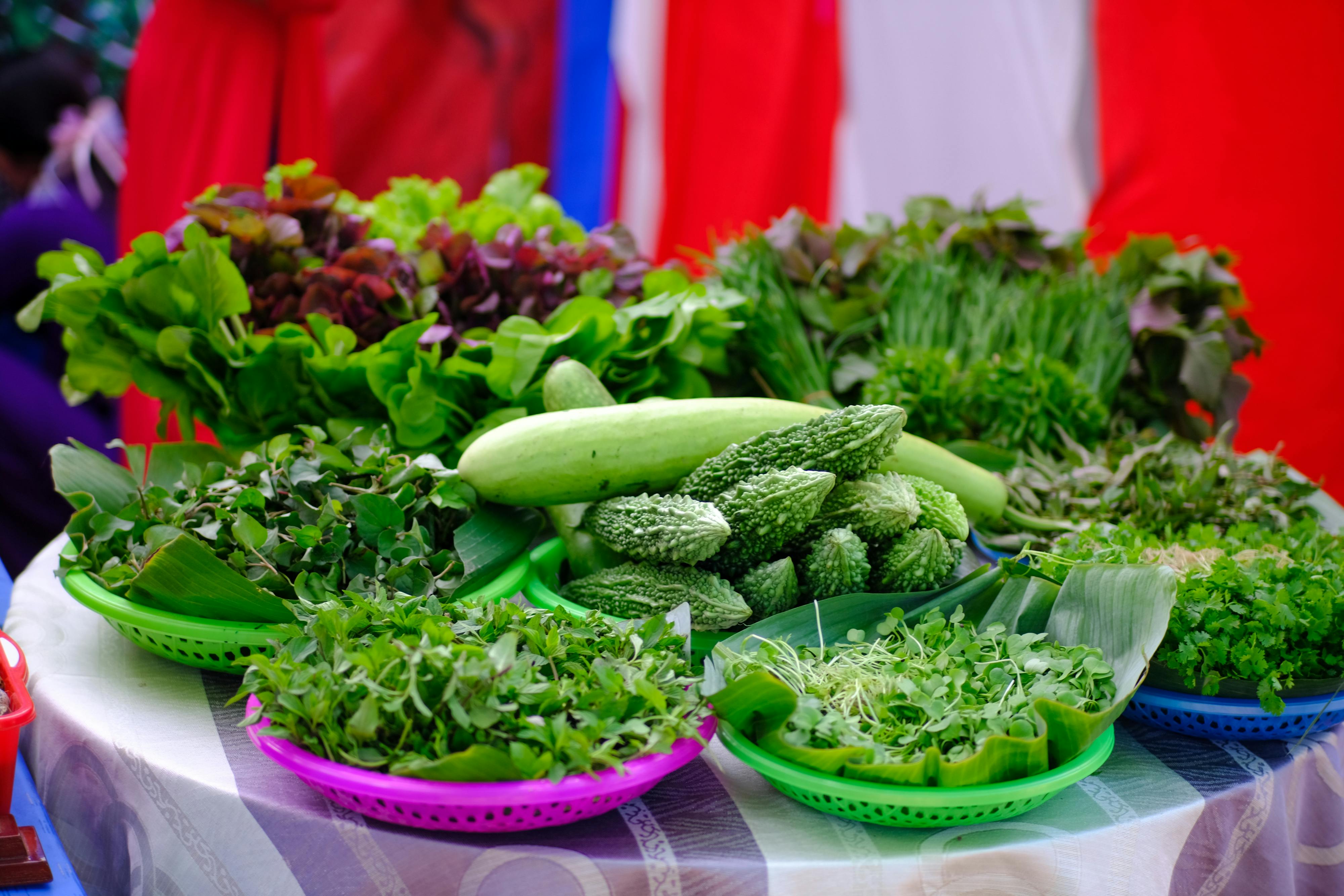 Deficiencia de Fósforo en Lechuga: Diagnóstico y Manejo Sostenible